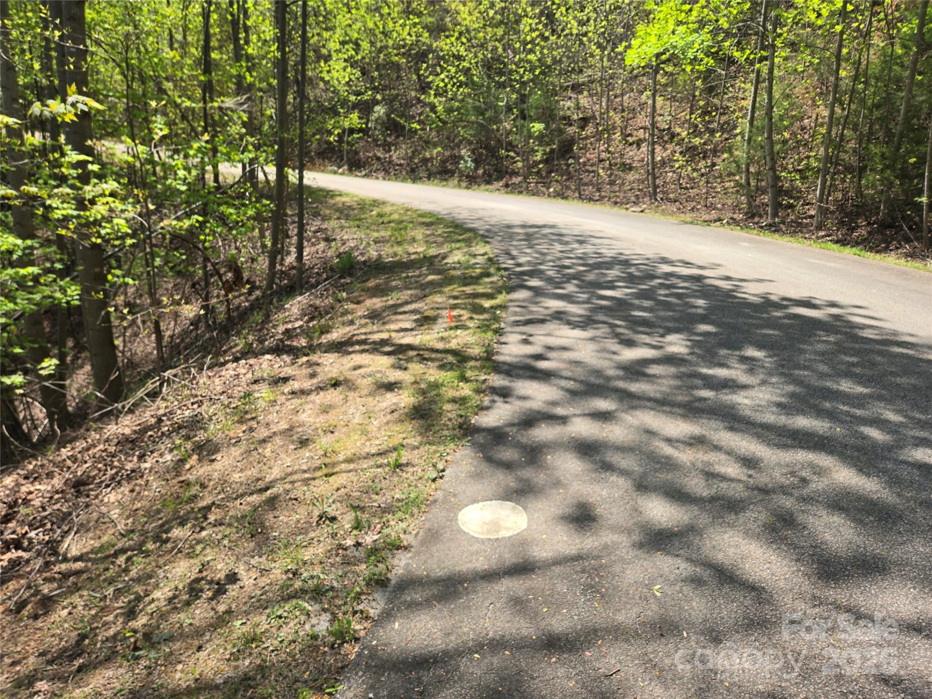 Lot 25 High Rock Ridge - Photo 3