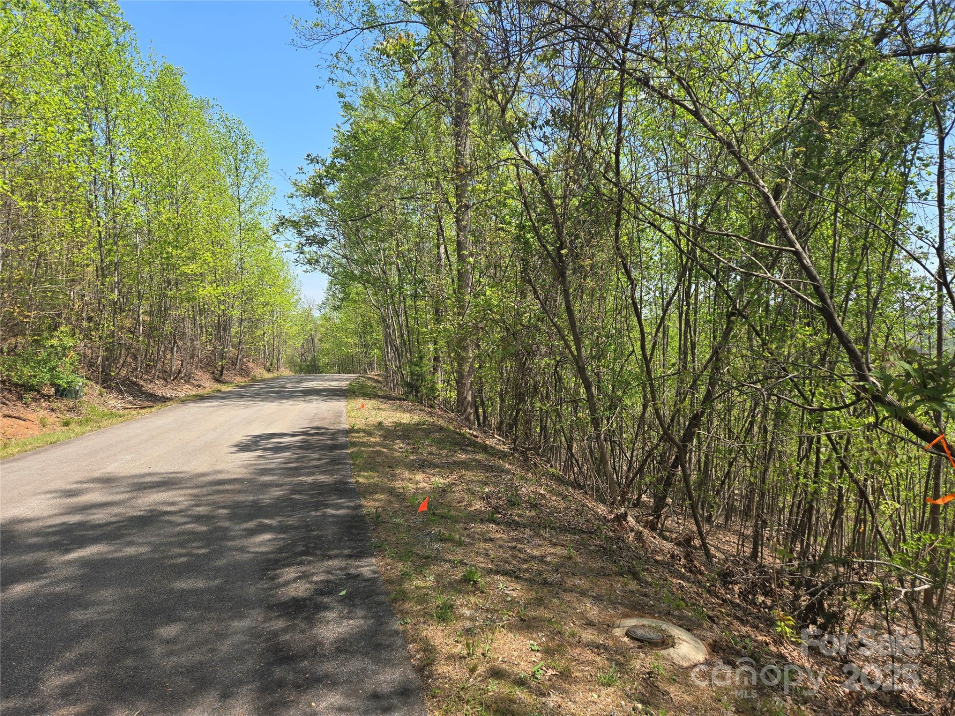 Lot 25 High Rock Ridge - Photo 4