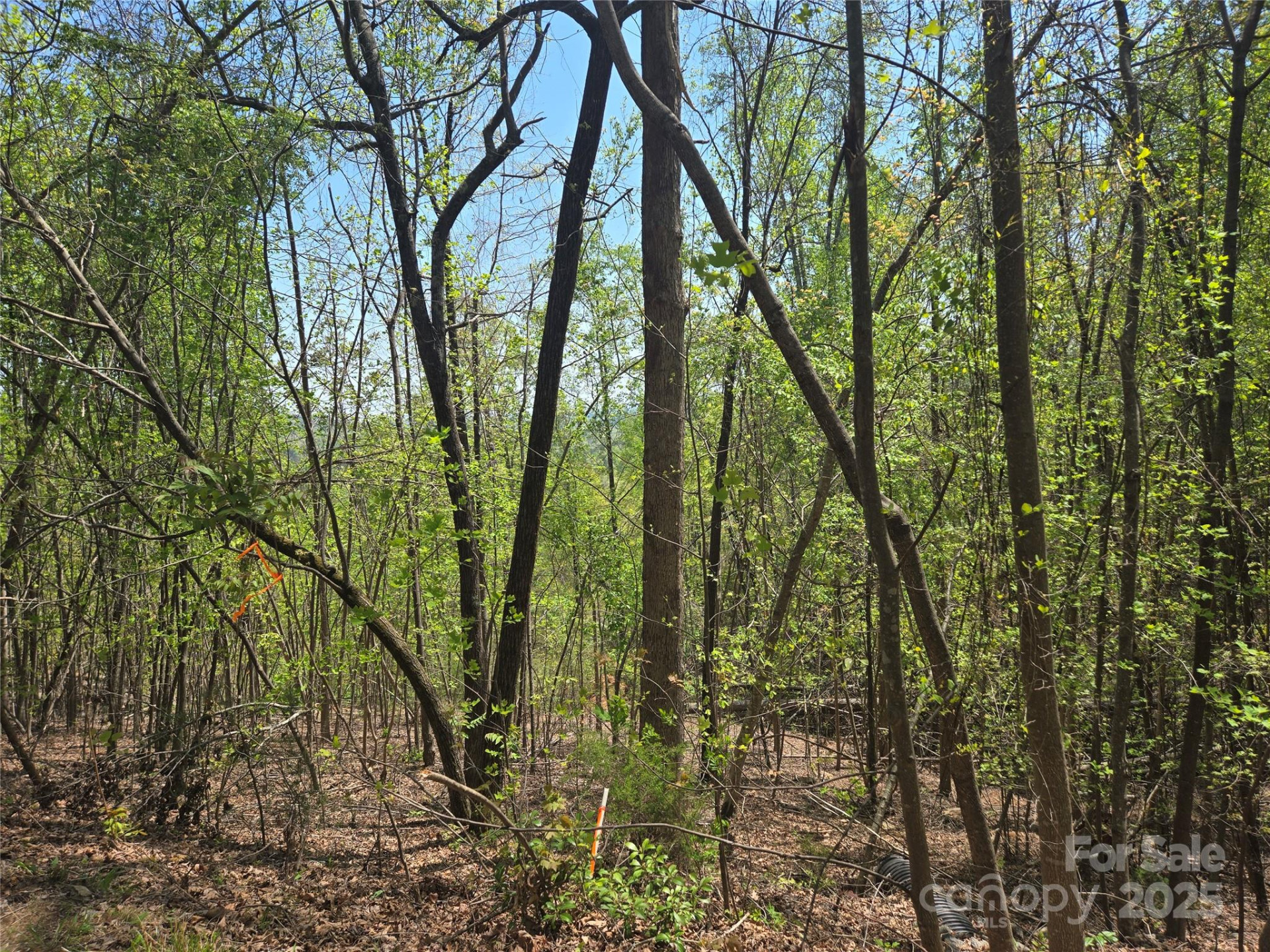 Lot 25 High Rock Ridge - Photo 5