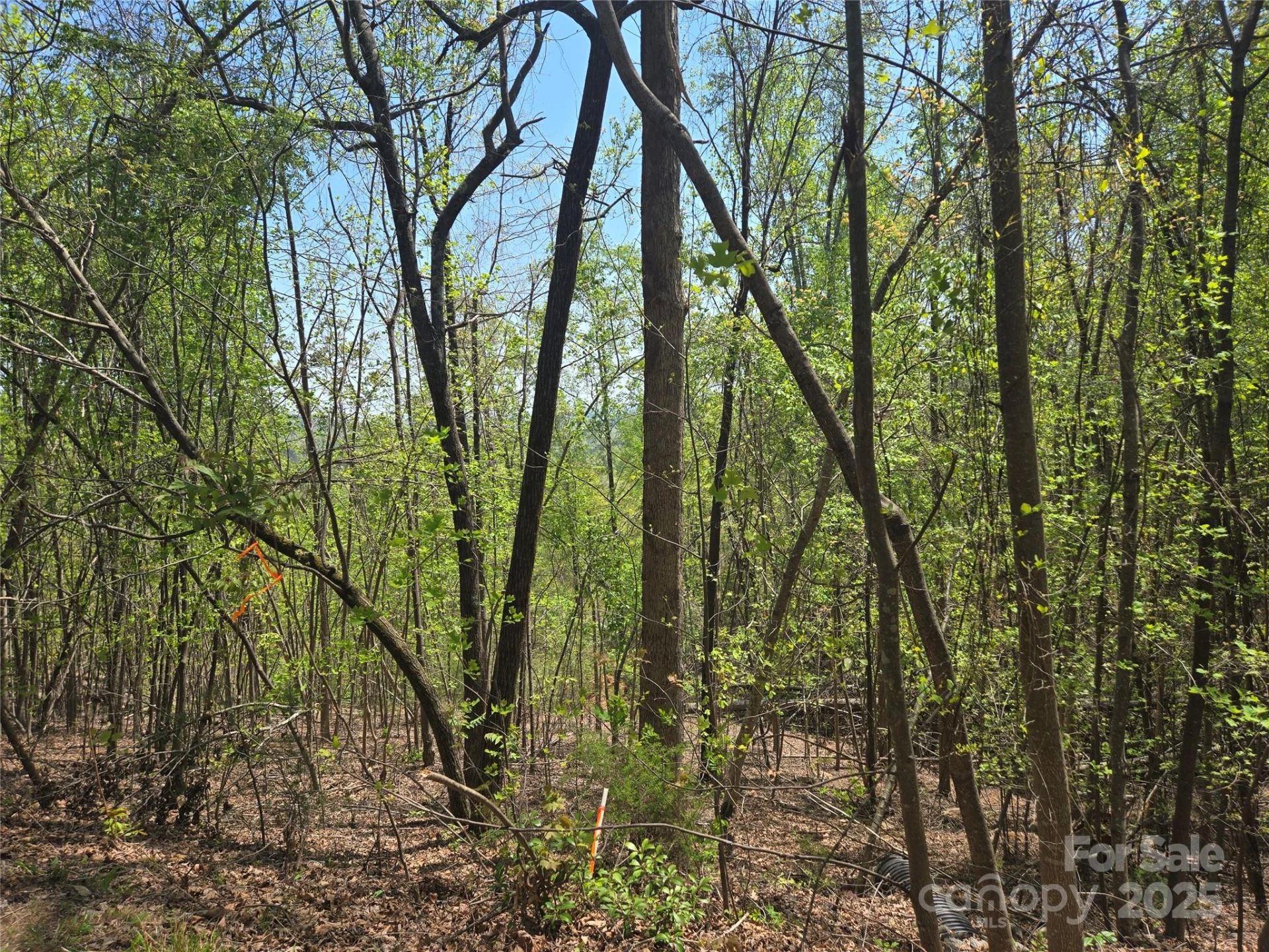 Lot 25 High Rock Ridge - Photo 5