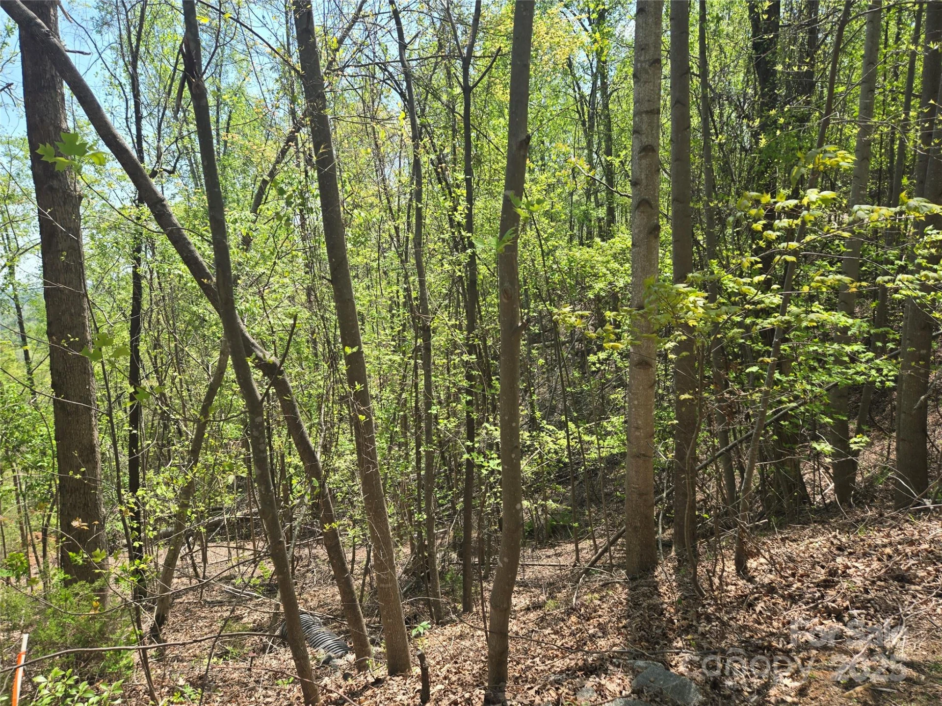 Lot 25 High Rock Ridge - Photo 6
