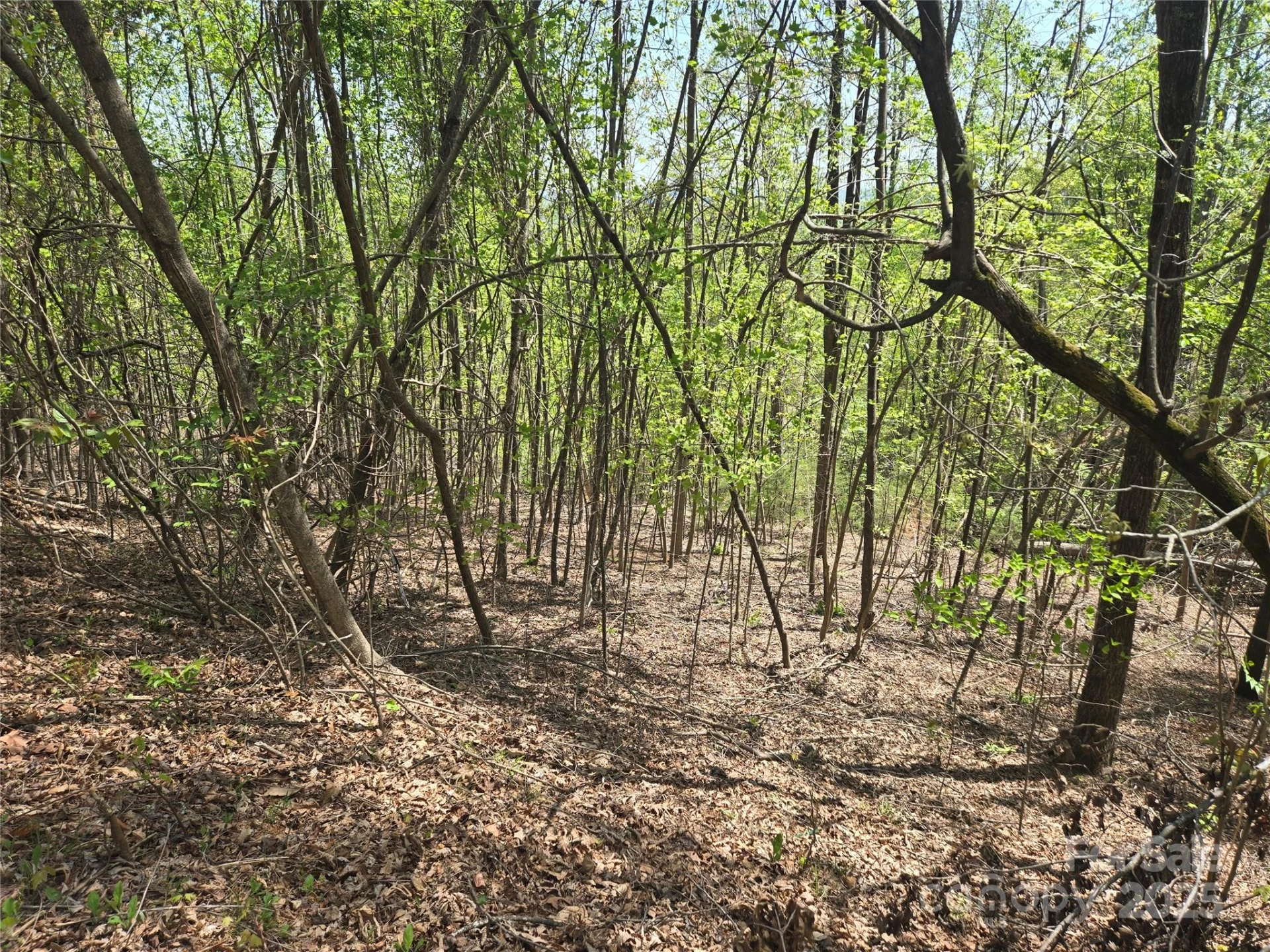 Lot 25 High Rock Ridge - Photo 7