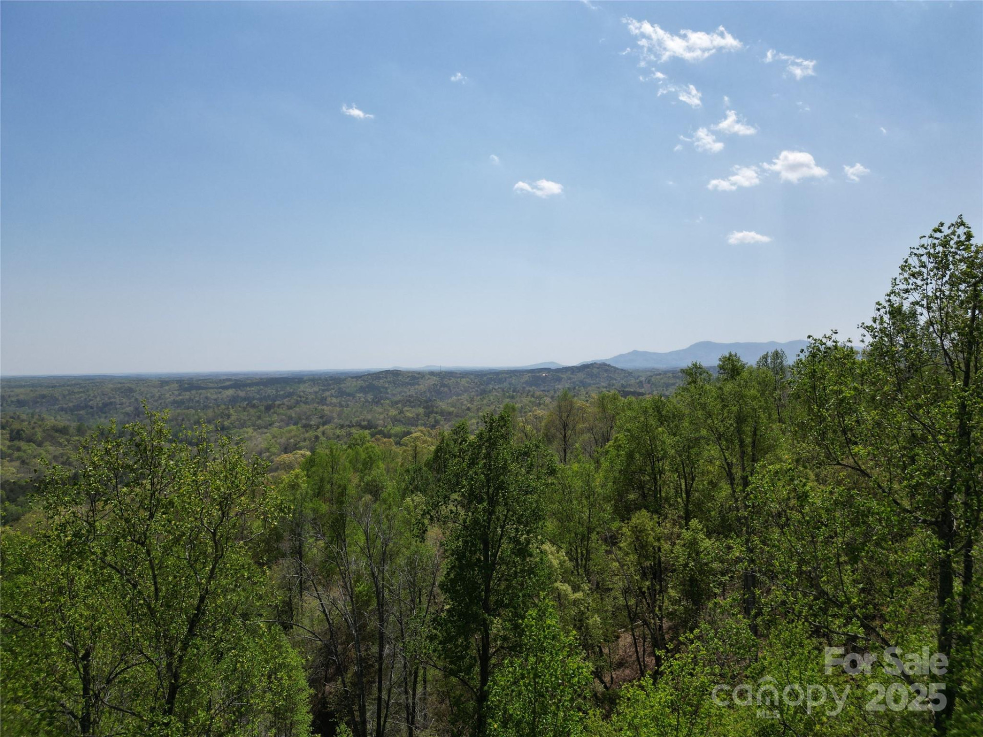 Lot 25 High Rock Ridge - Photo 8