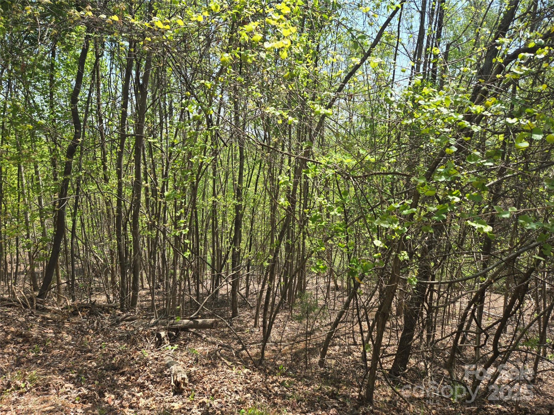 Lot 25 High Rock Ridge - Photo 9