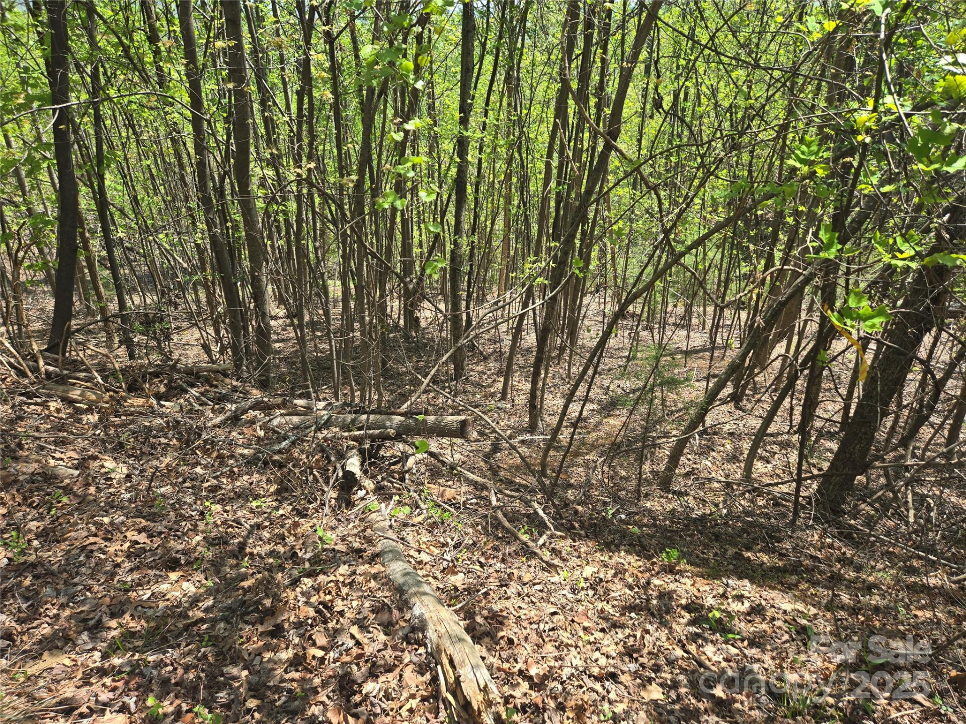 Lot 25 High Rock Ridge - Photo 10