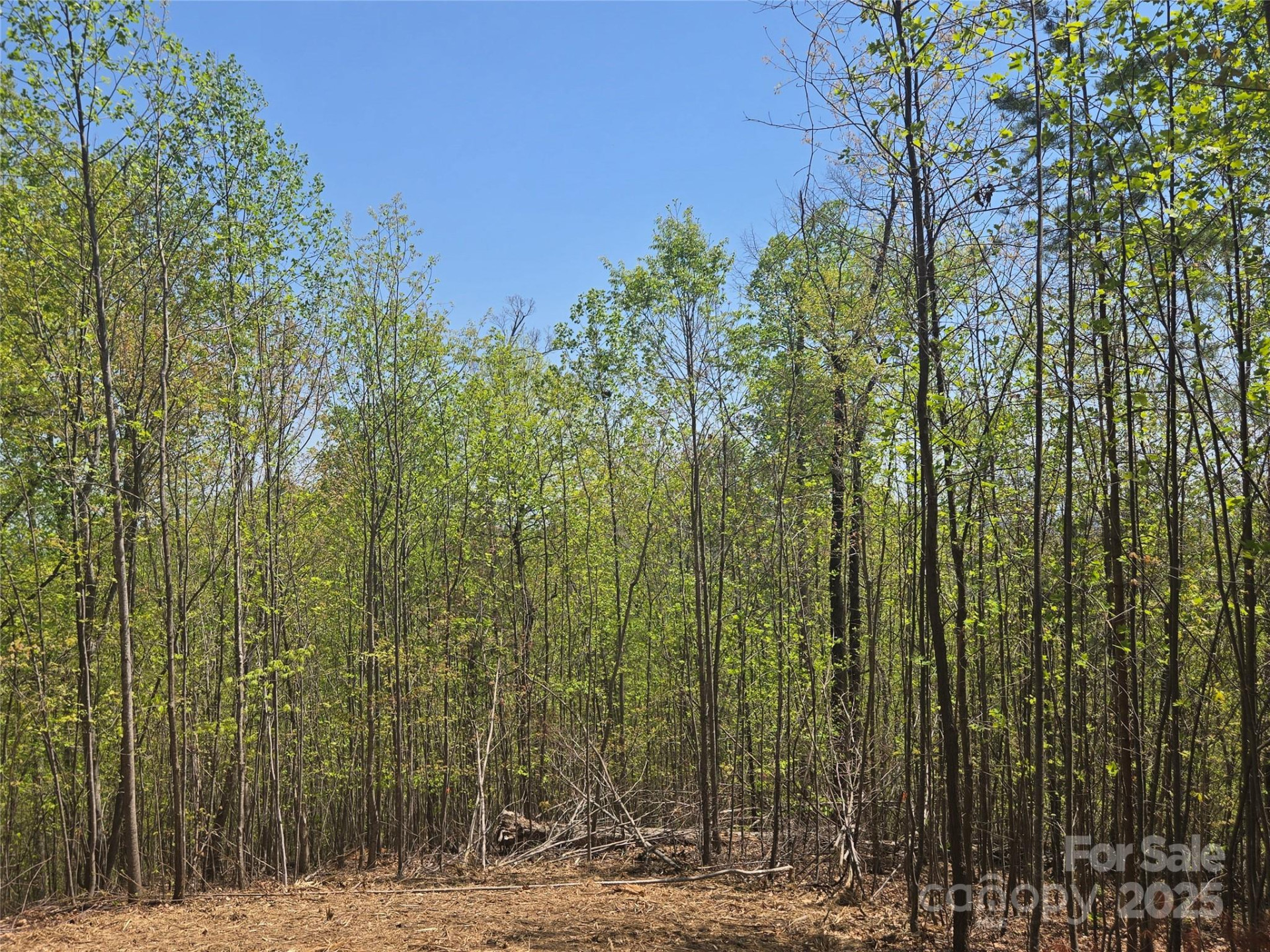 Lot 32 High Rock Ridge - Photo 12