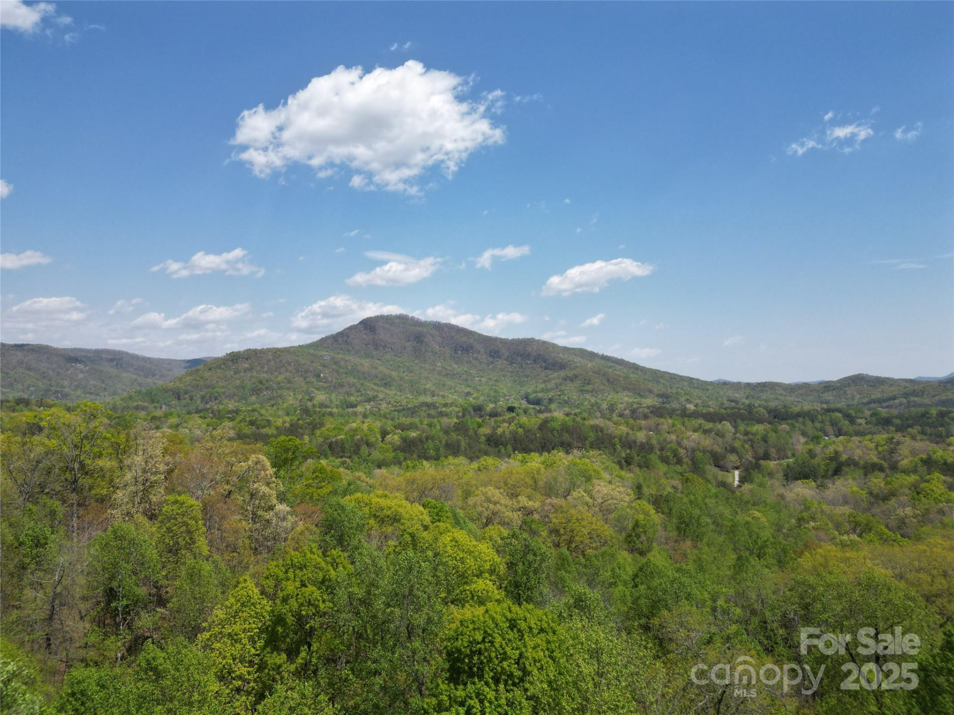 Lot 32 High Rock Ridge - Photo 3