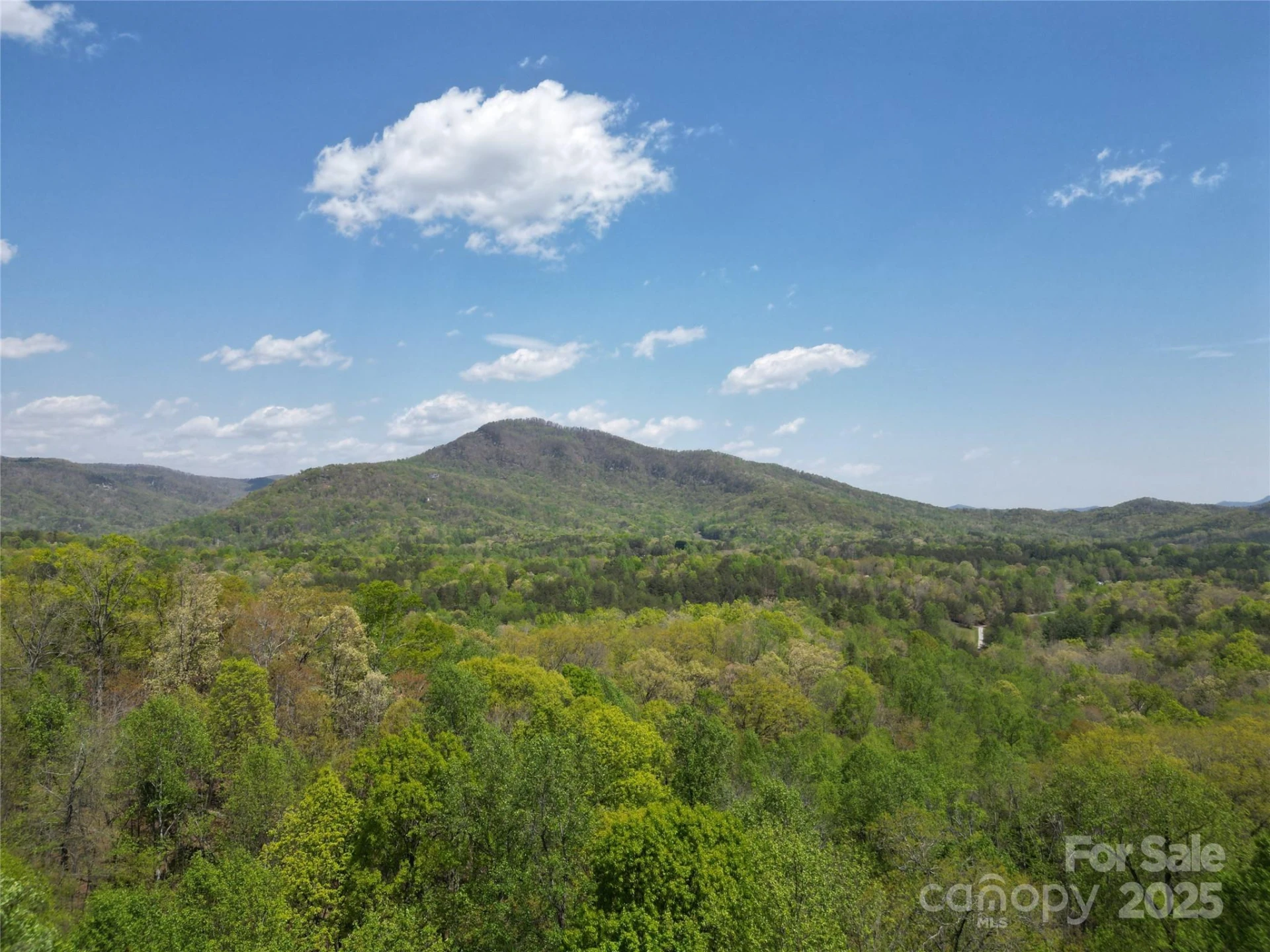 Lot 32 High Rock Ridge - Photo 3