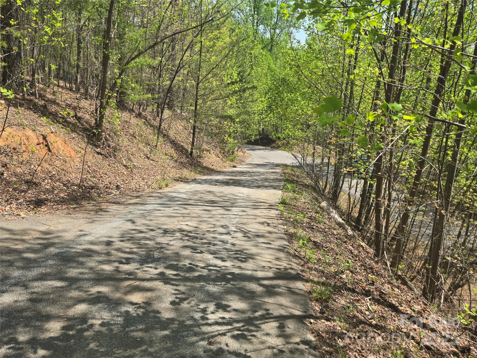 Lot 32 High Rock Ridge - Photo 4