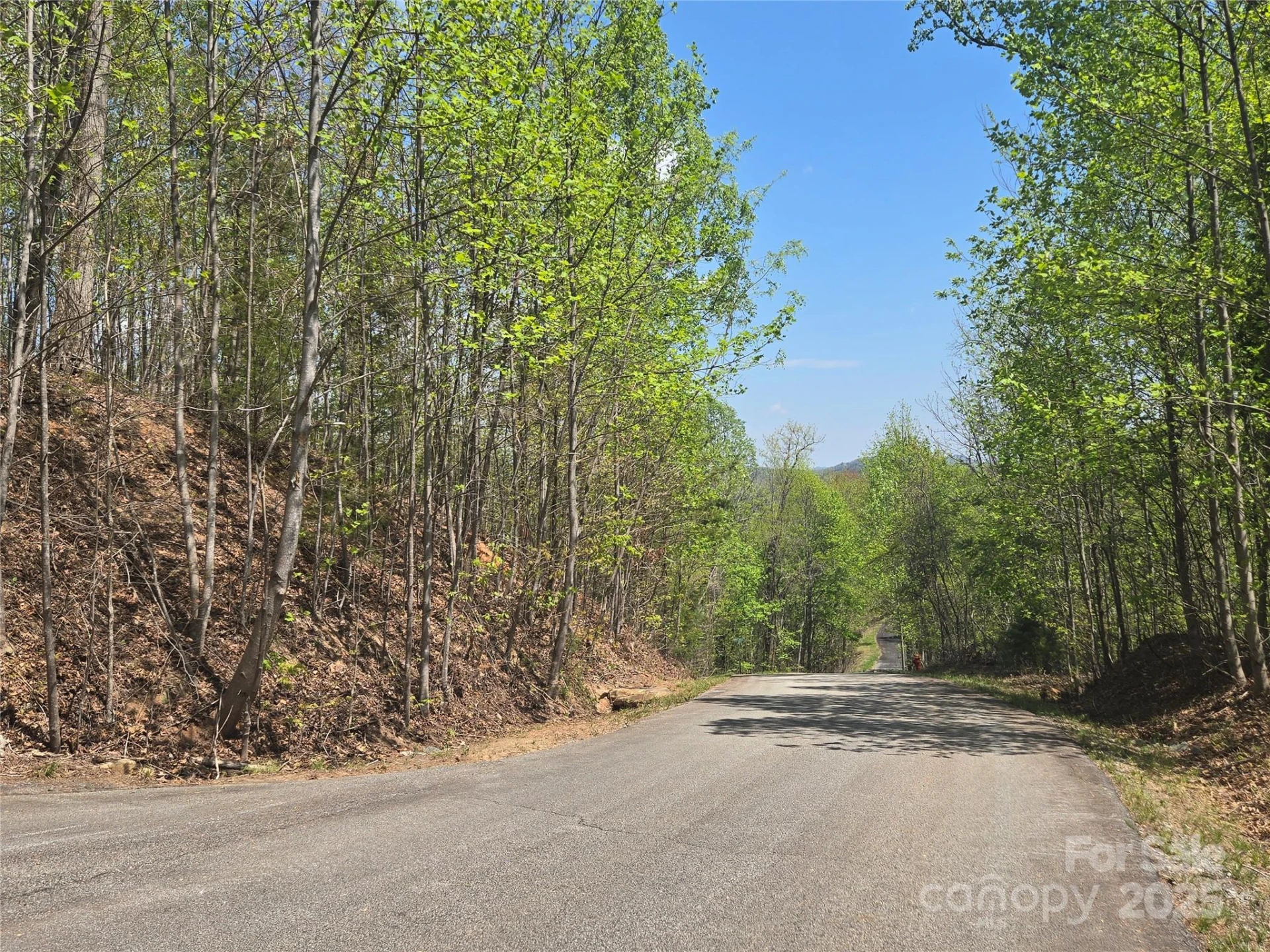 Lot 32 High Rock Ridge - Photo 6