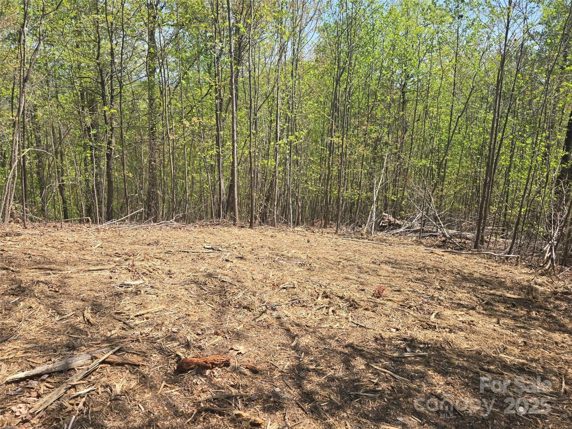 Lot 32 High Rock Ridge - Photo 7