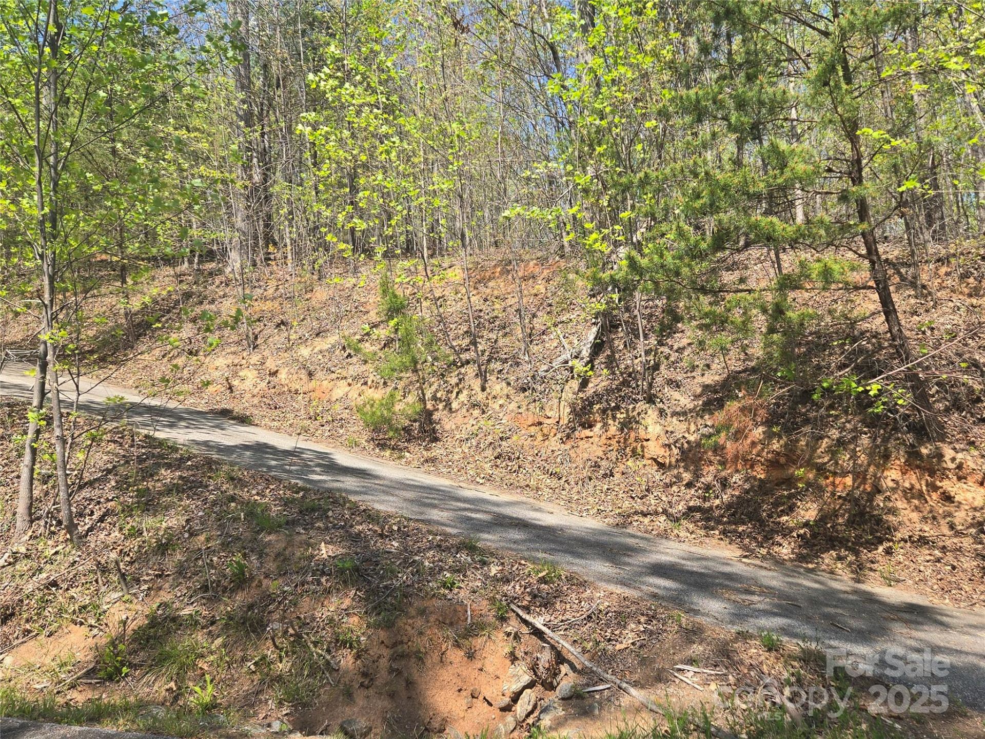 Lot 32 High Rock Ridge - Photo 8