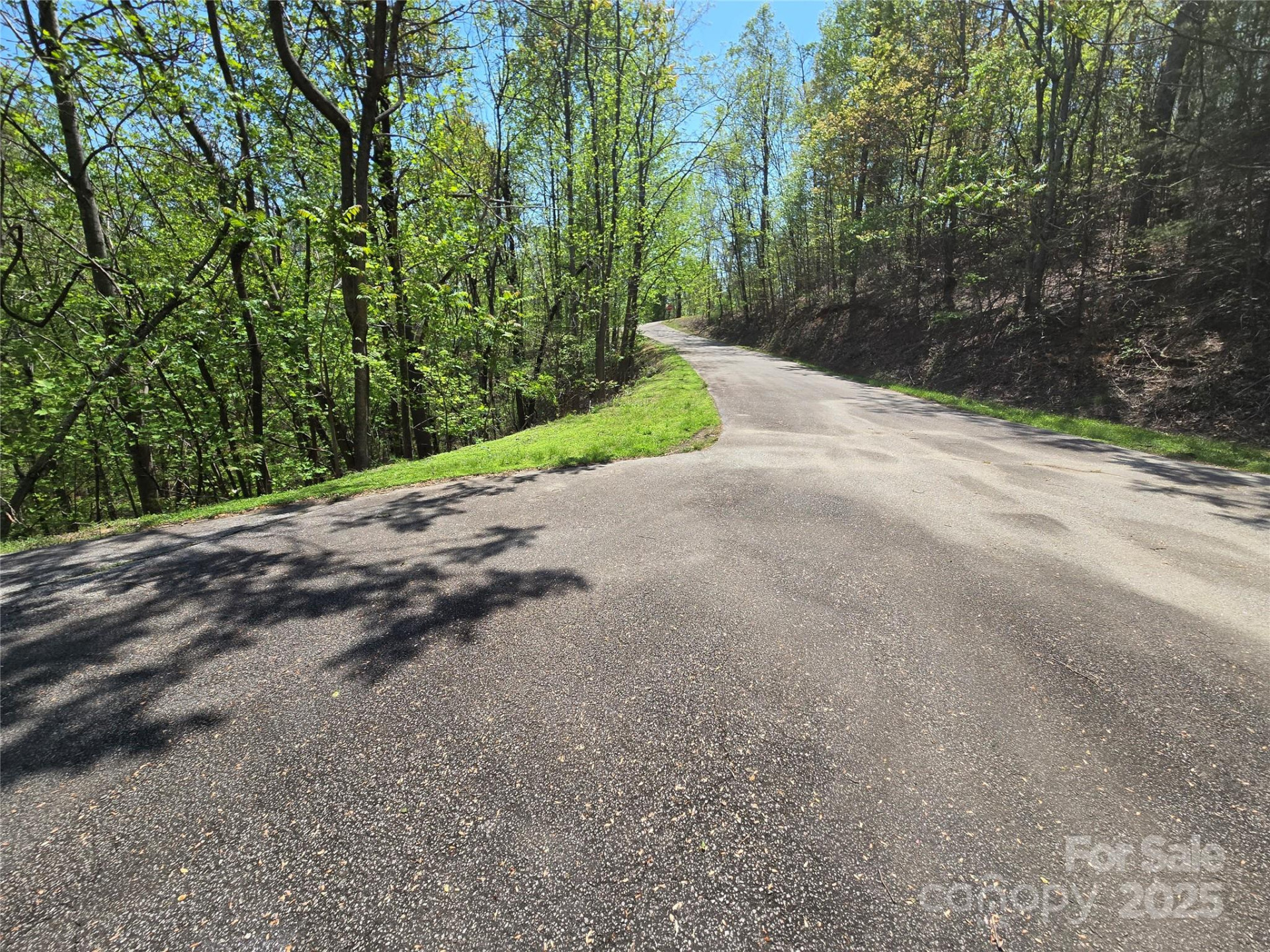 Lot 33 Turkey Fall Lane - Photo 3