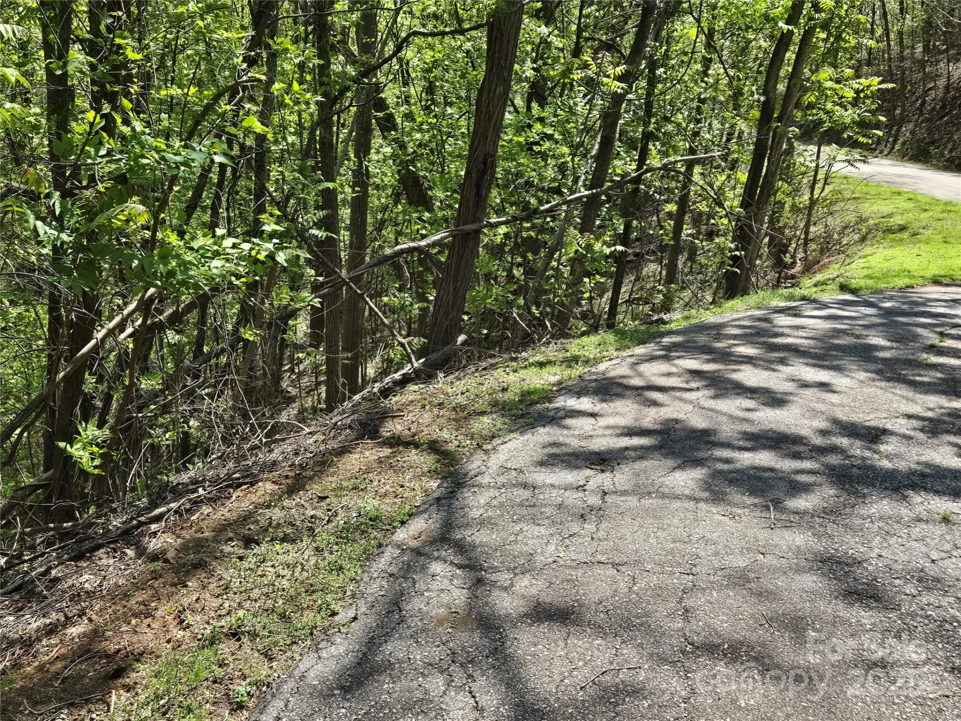 Lot 33 Turkey Fall Lane - Photo 9