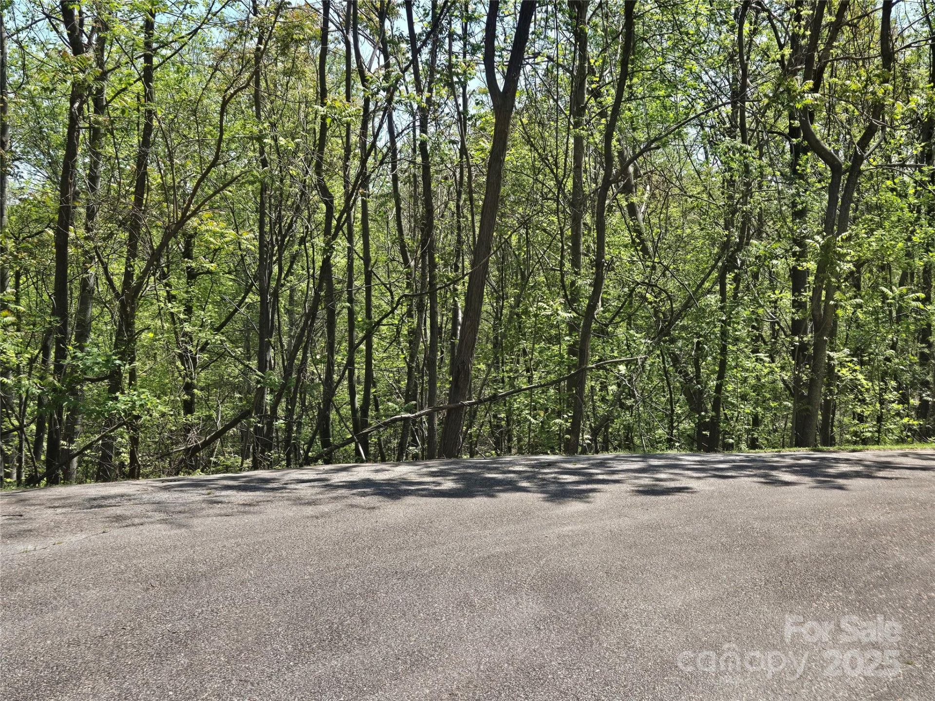 Lot 33 Turkey Fall Lane - Photo 10