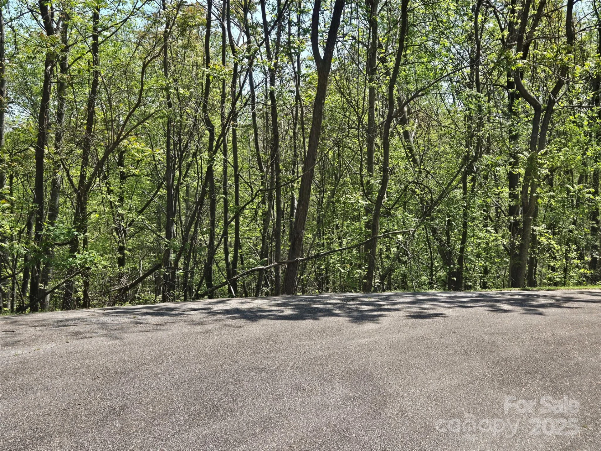 Lot 33 Turkey Fall Lane - Photo 10