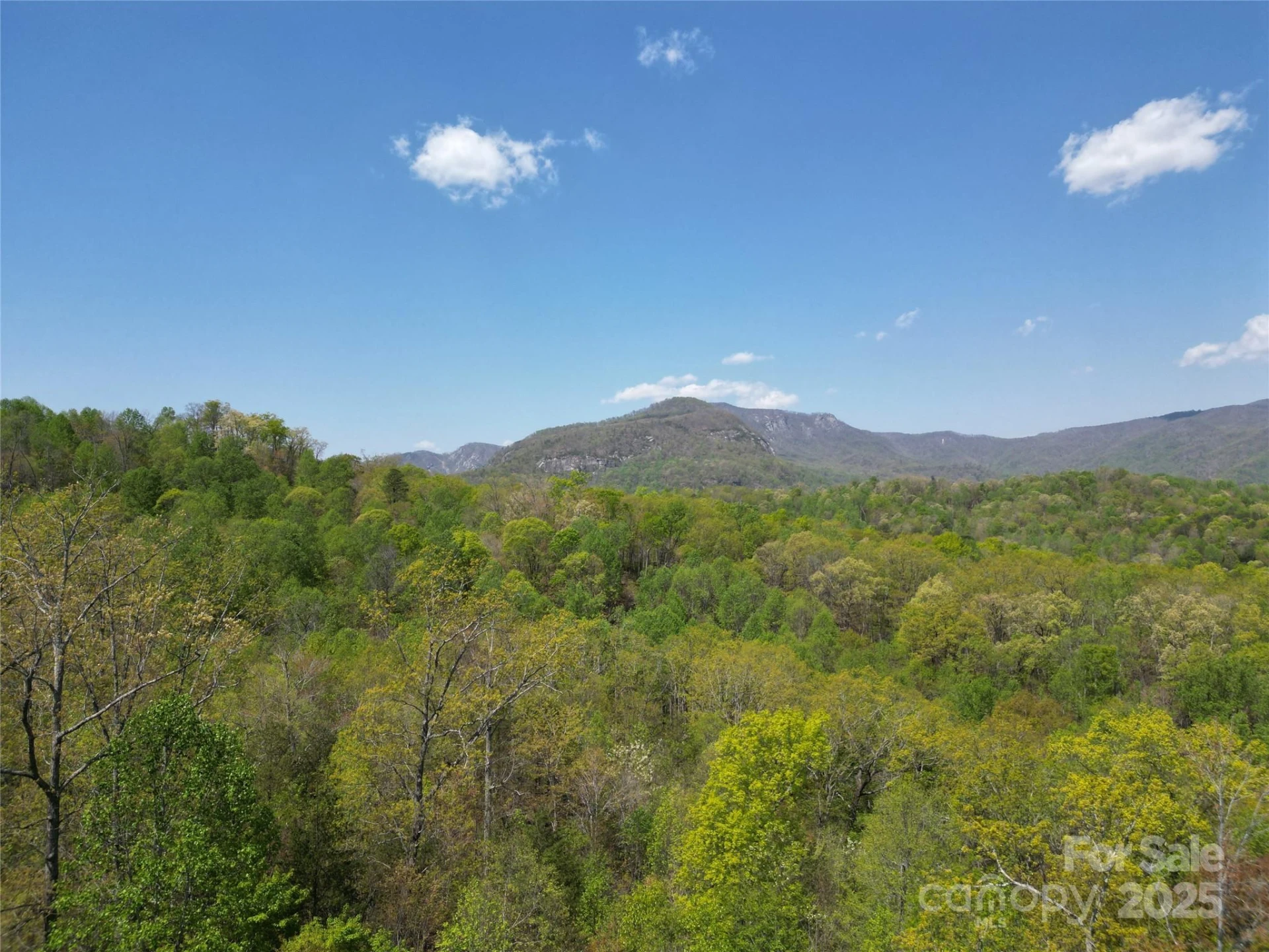 Lot 34 High Rock Ridge - Photo 2