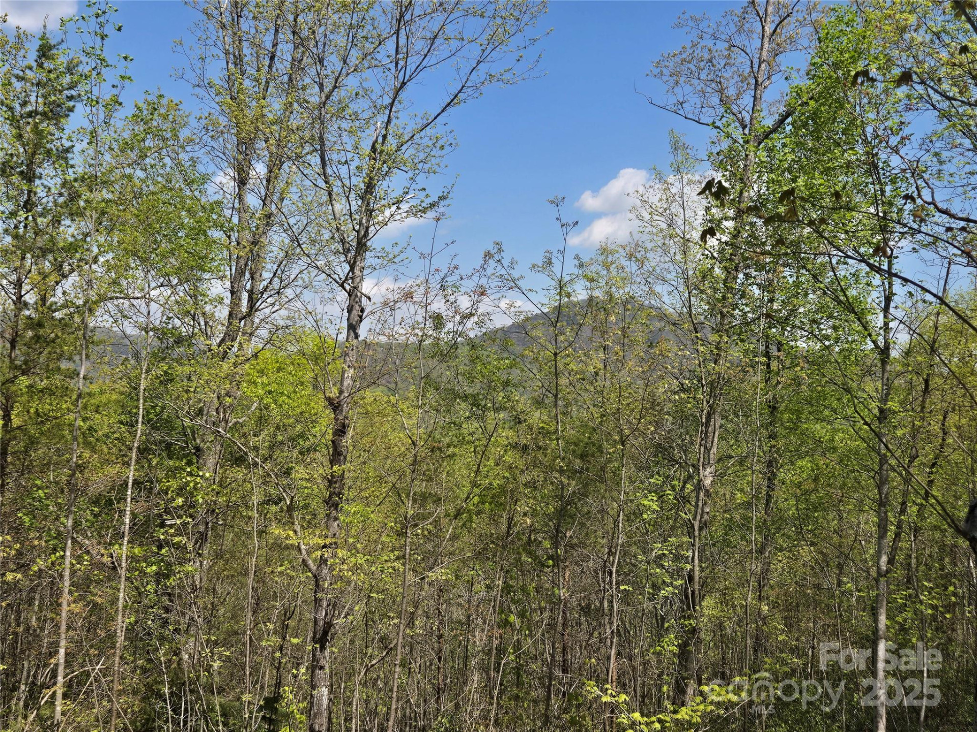 Lot 34 High Rock Ridge - Photo 11