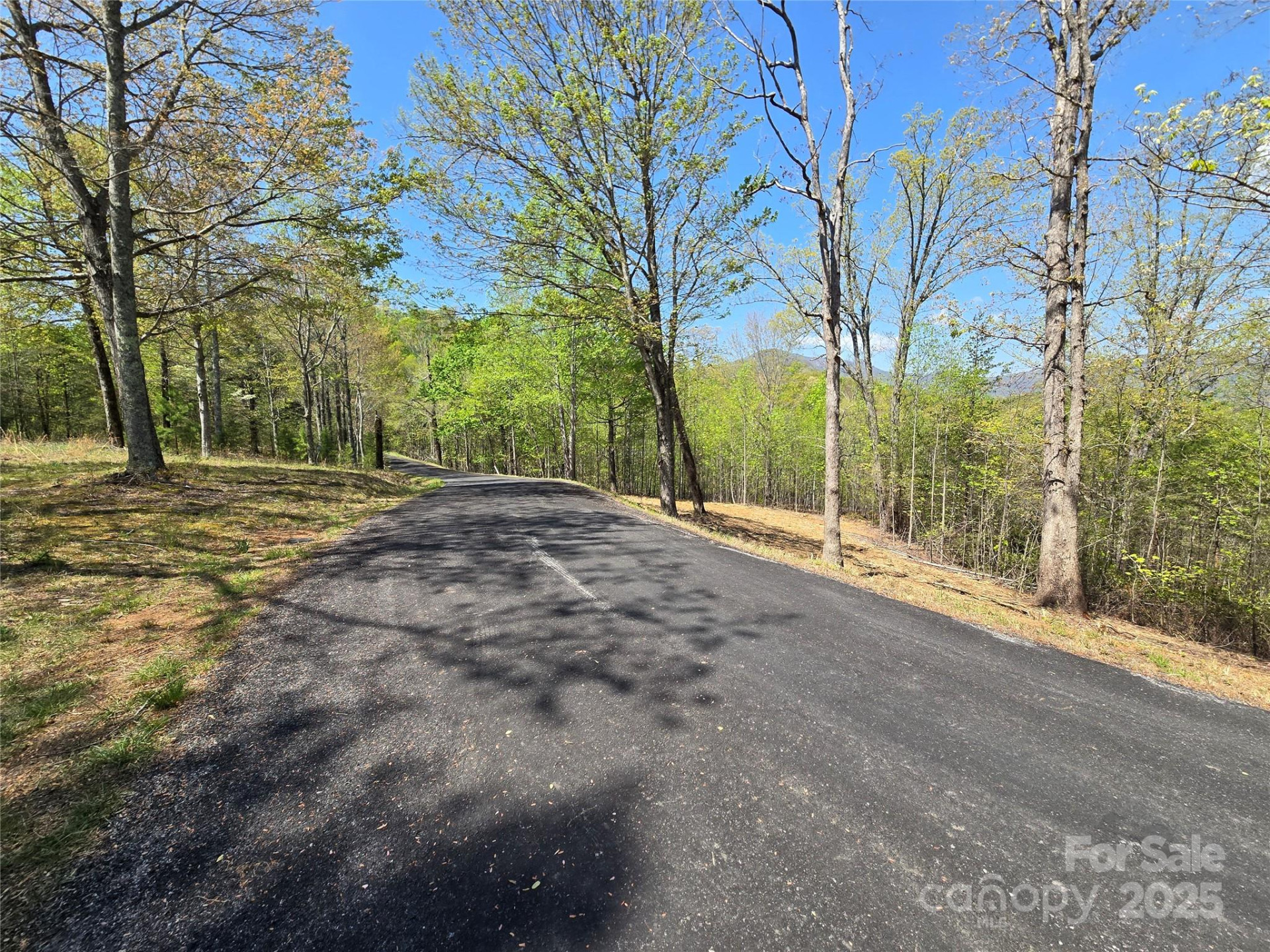 Lot 34 High Rock Ridge - Photo 3