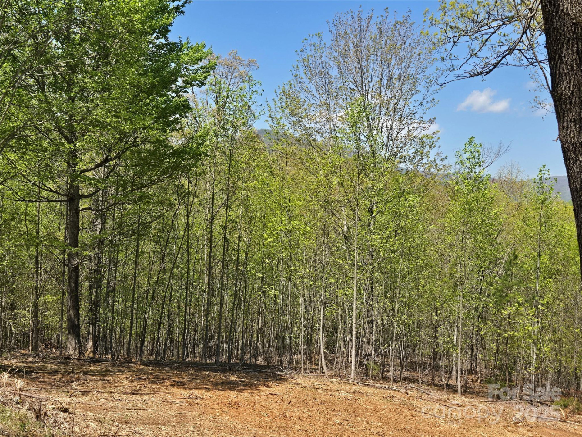 Lot 34 High Rock Ridge - Photo 4