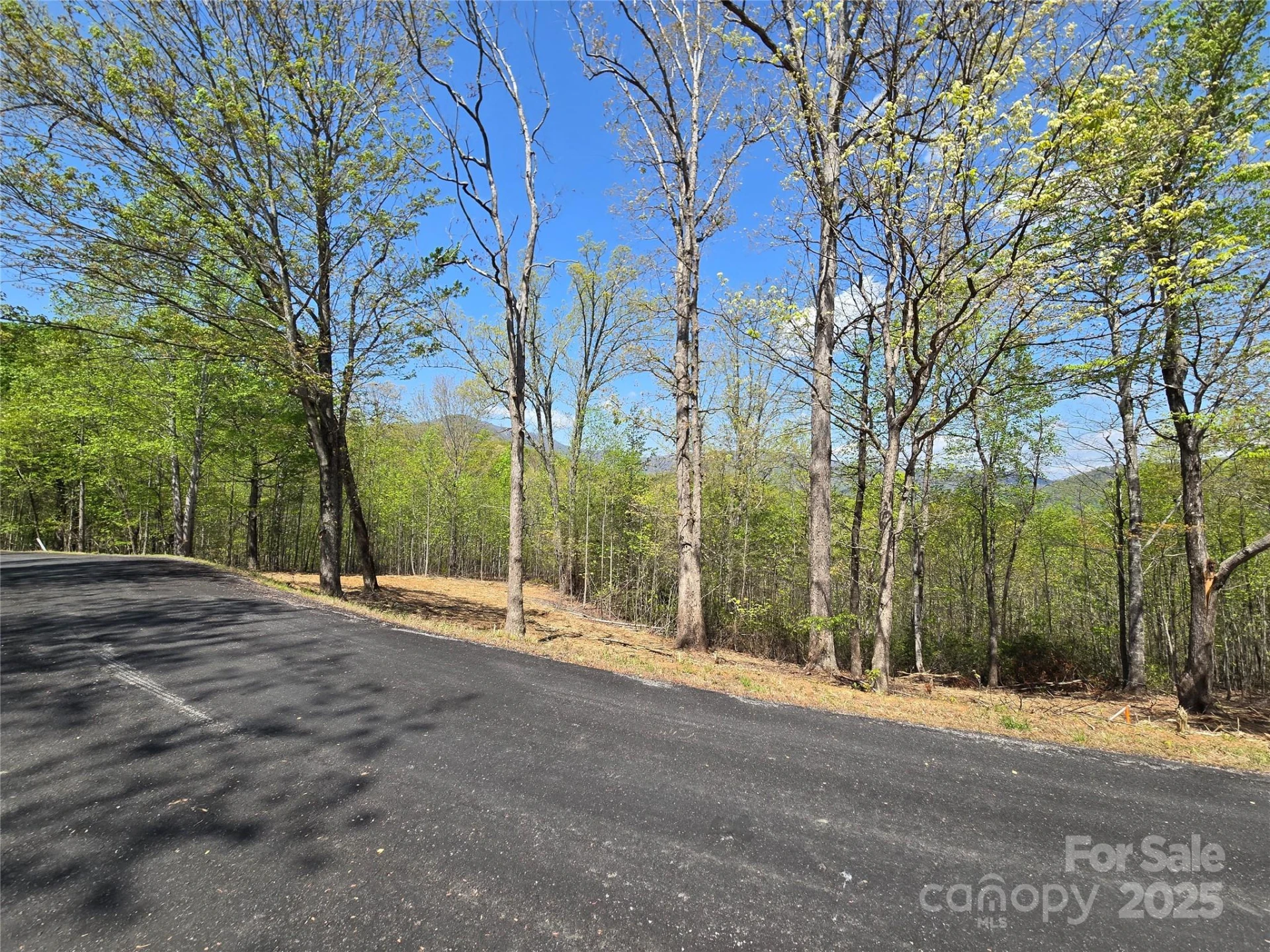 Lot 34 High Rock Ridge - Photo 5