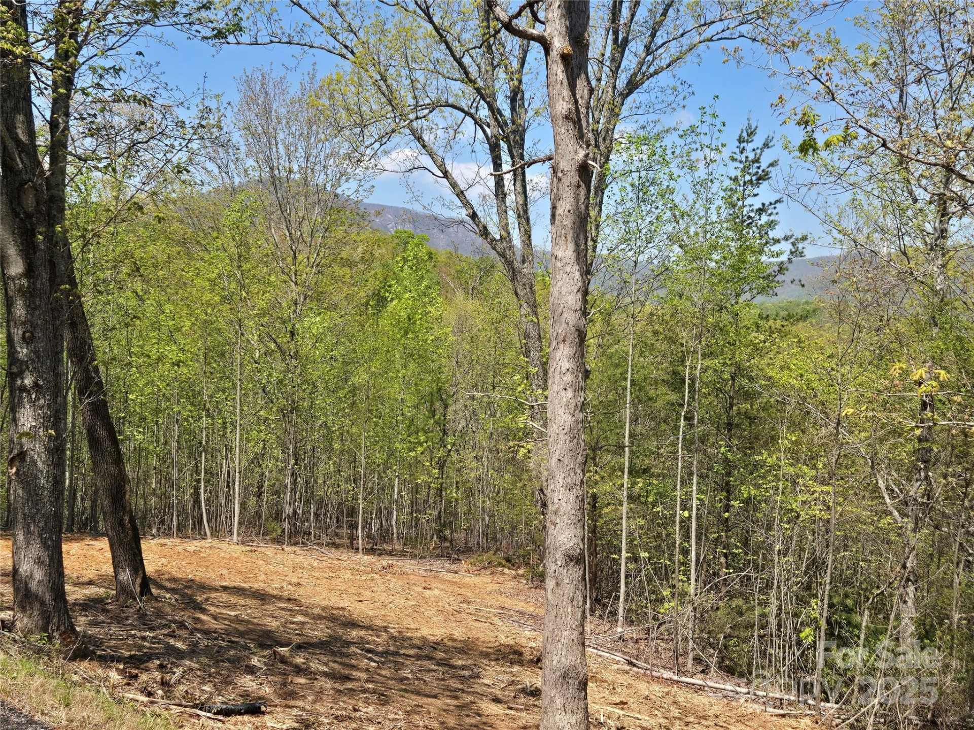 Lot 34 High Rock Ridge - Photo 6