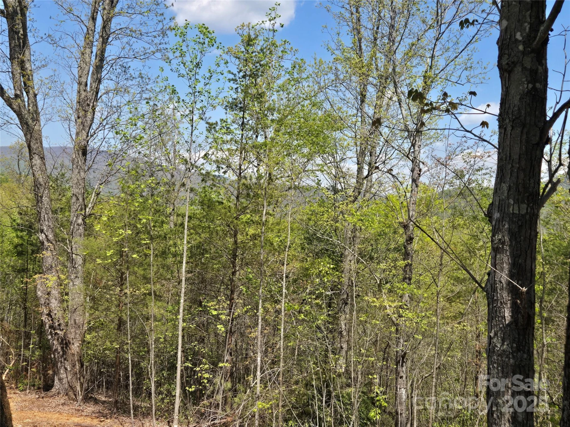 Lot 34 High Rock Ridge - Photo 8