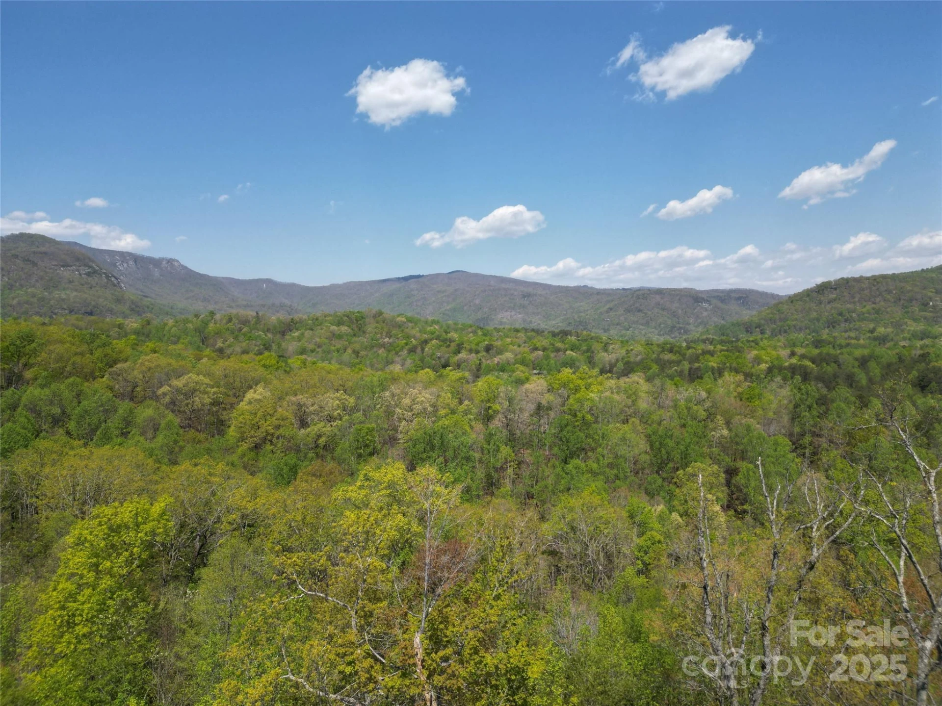 Lot 34 High Rock Ridge - Photo 9