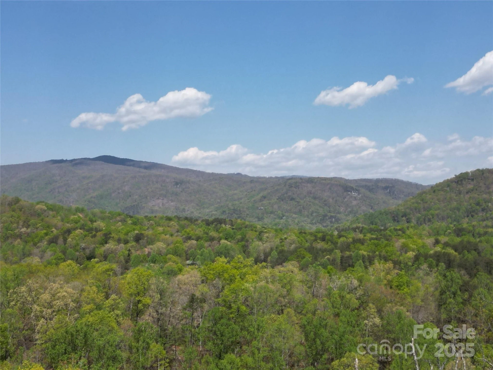 Lot 34 High Rock Ridge - Photo 10