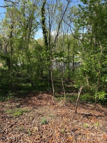 99999 Reese Street, Woodfin, NC, 28804