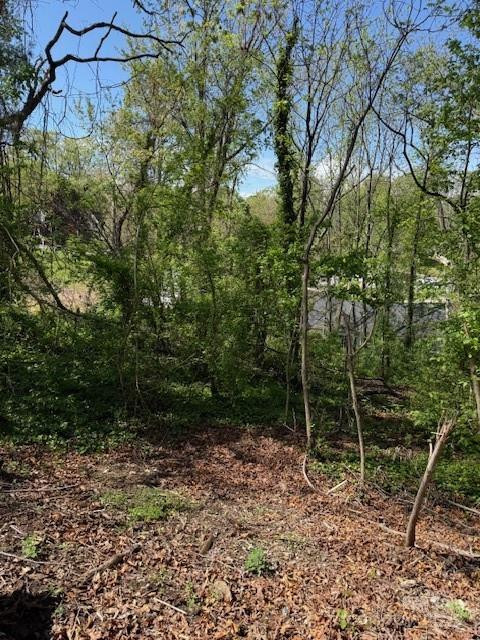 99999 Reese Street - Photo 2