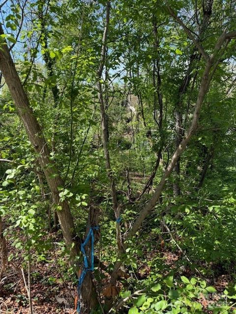 99999 Reese Street - Photo 3