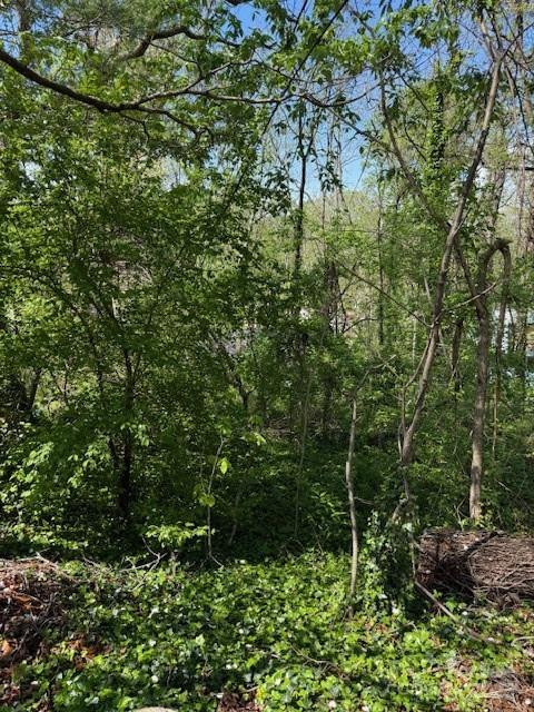 99999 Reese Street - Photo 4