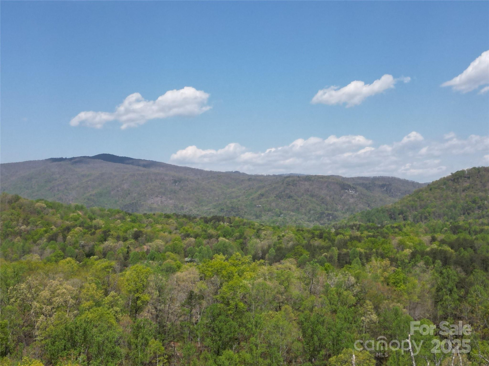 Lot 35 High Rock Ridge - Photo 2