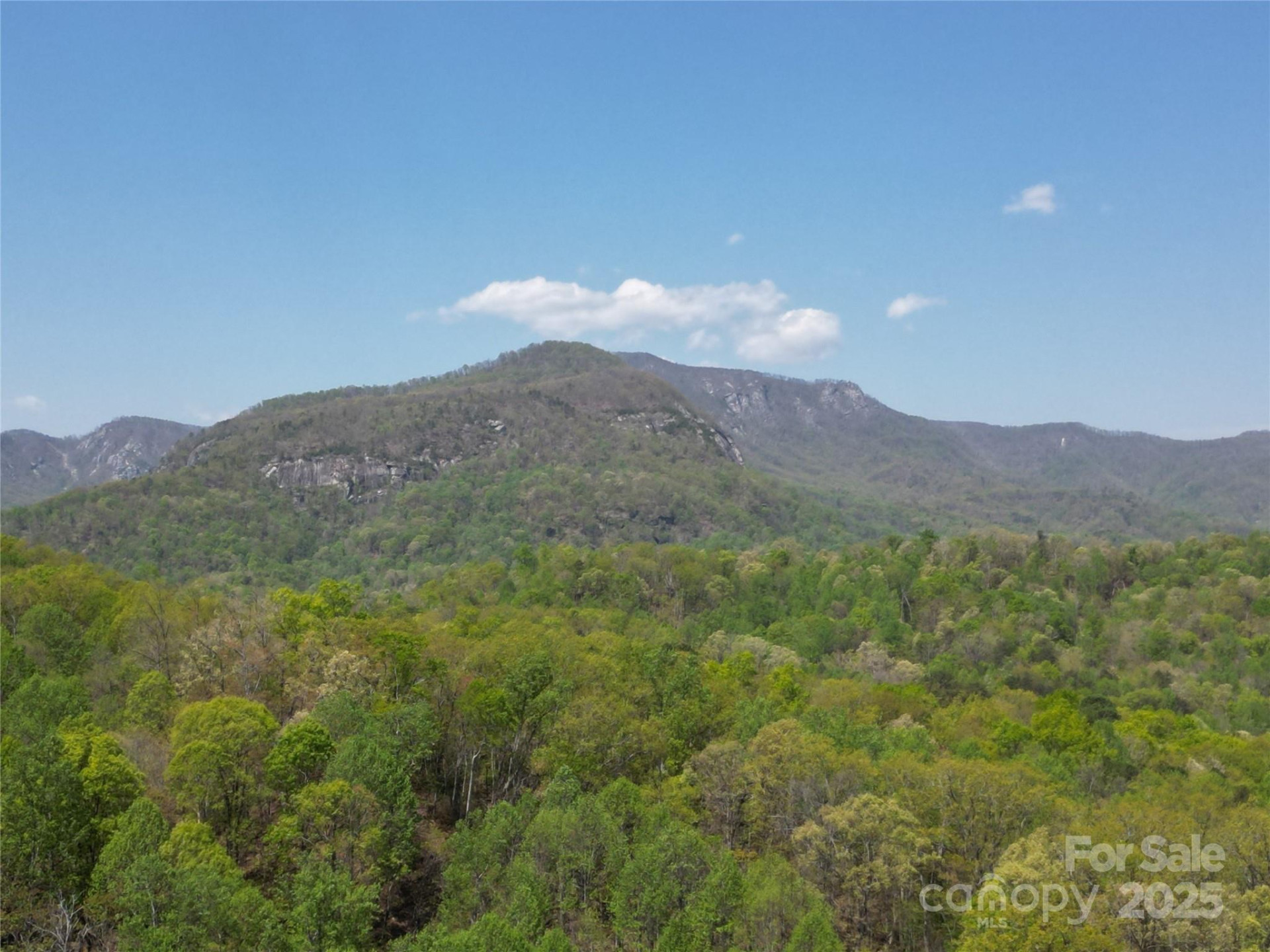 Lot 35 High Rock Ridge - Photo 12
