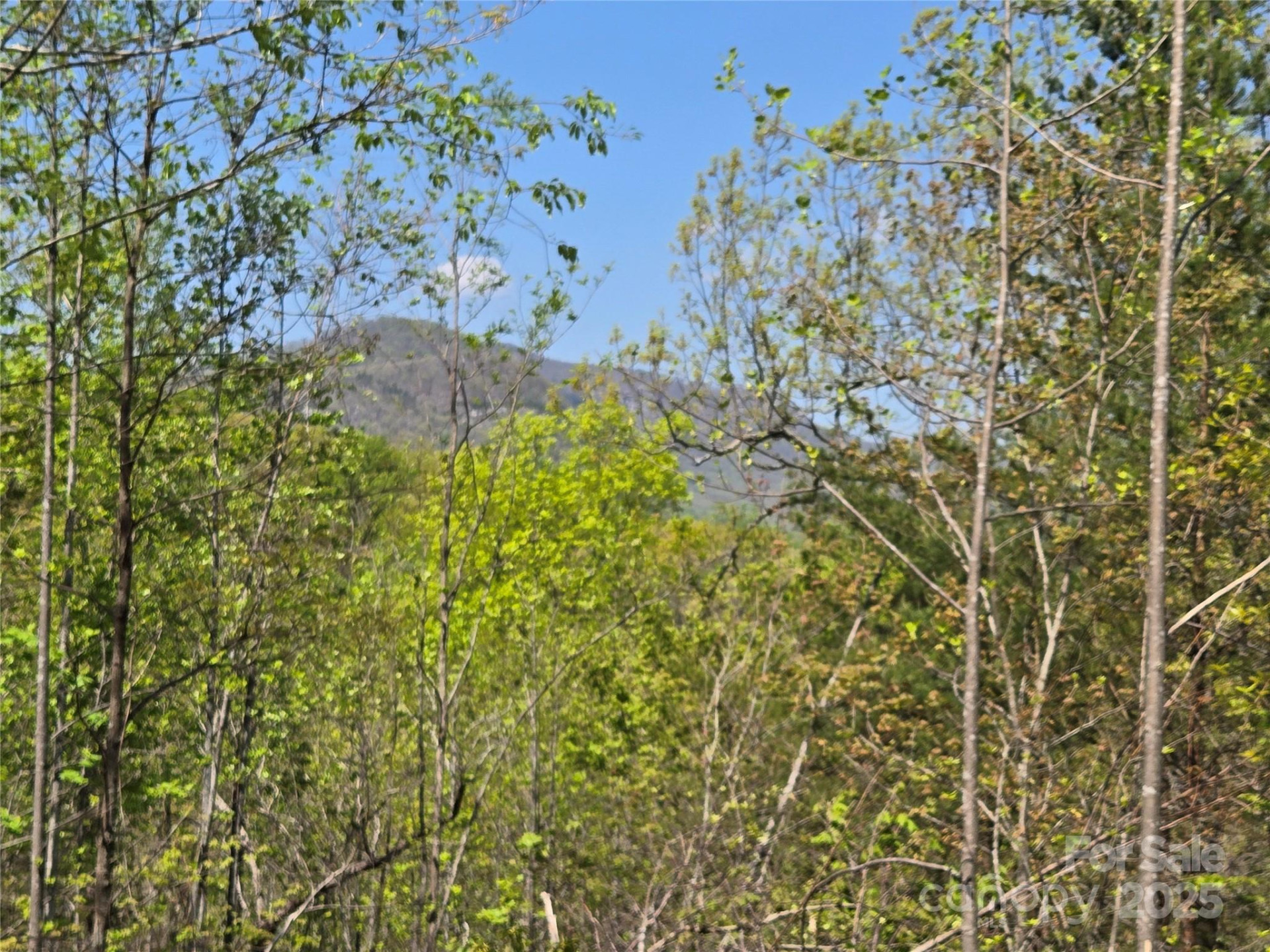 Lot 35 High Rock Ridge - Photo 3