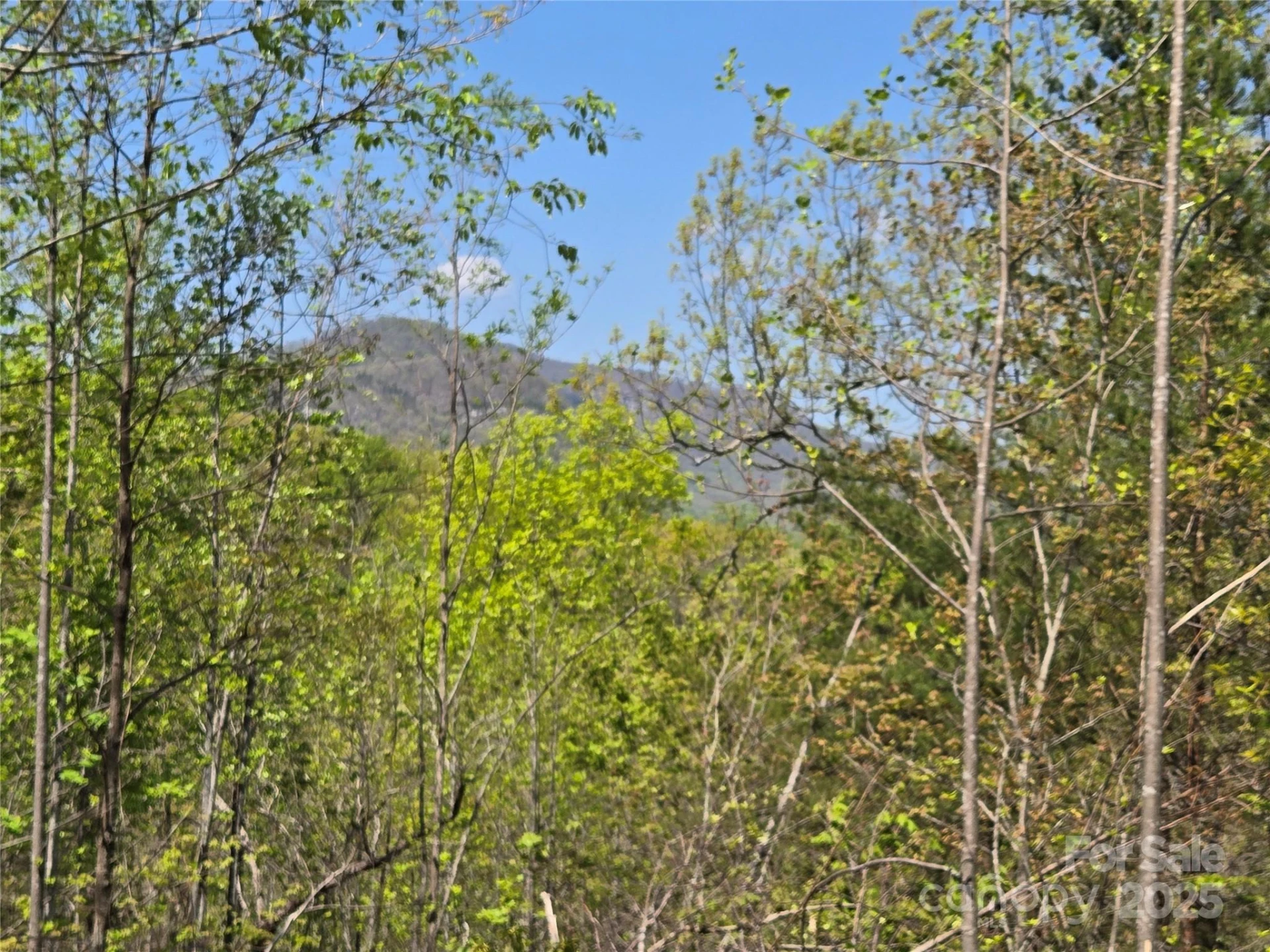 Lot 35 High Rock Ridge - Photo 3