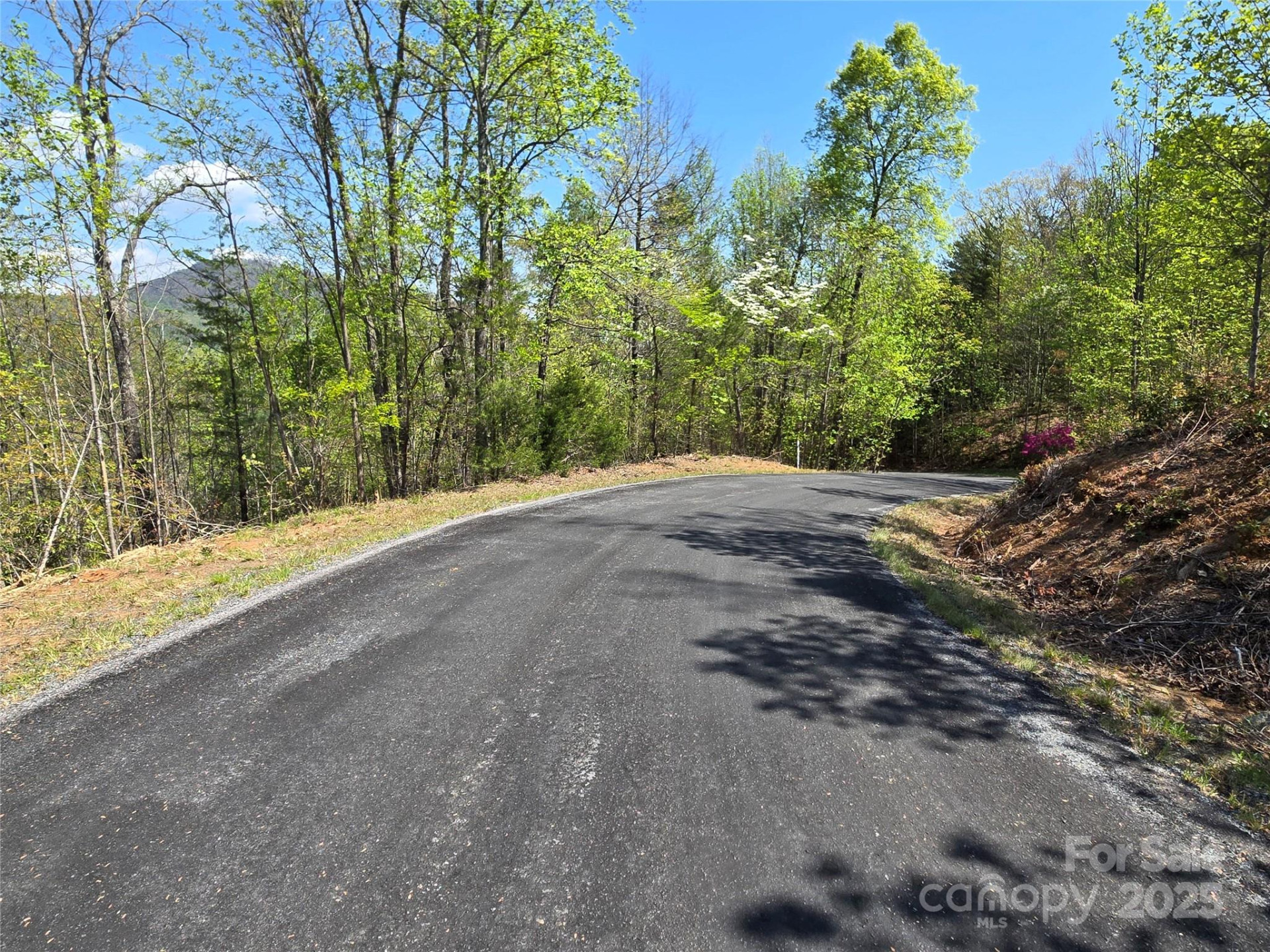 Lot 35 High Rock Ridge - Photo 4