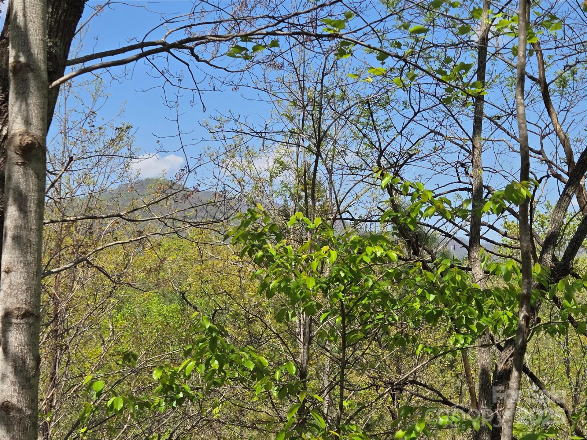 Lot 35 High Rock Ridge - Photo 5