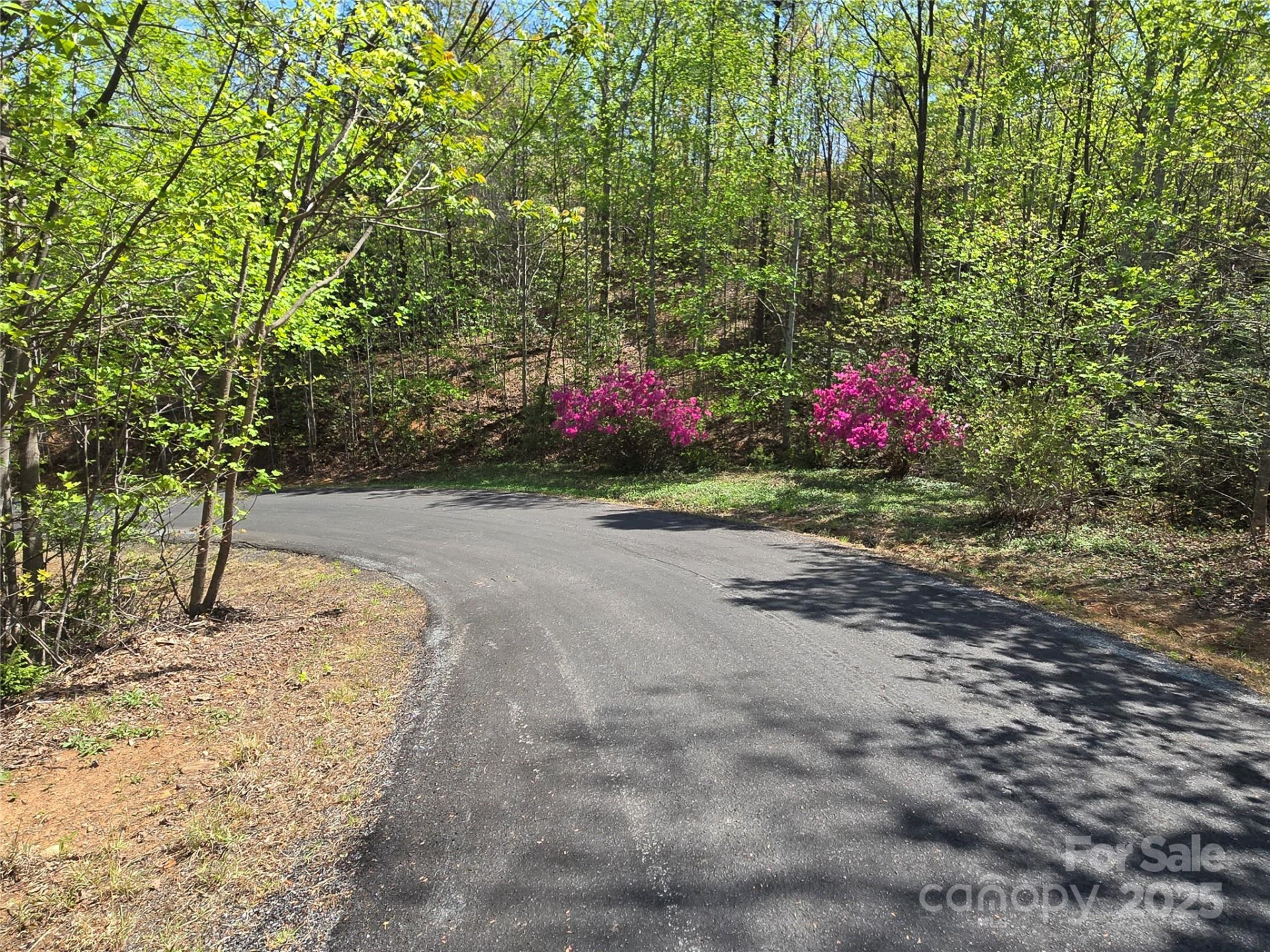 Lot 35 High Rock Ridge - Photo 6