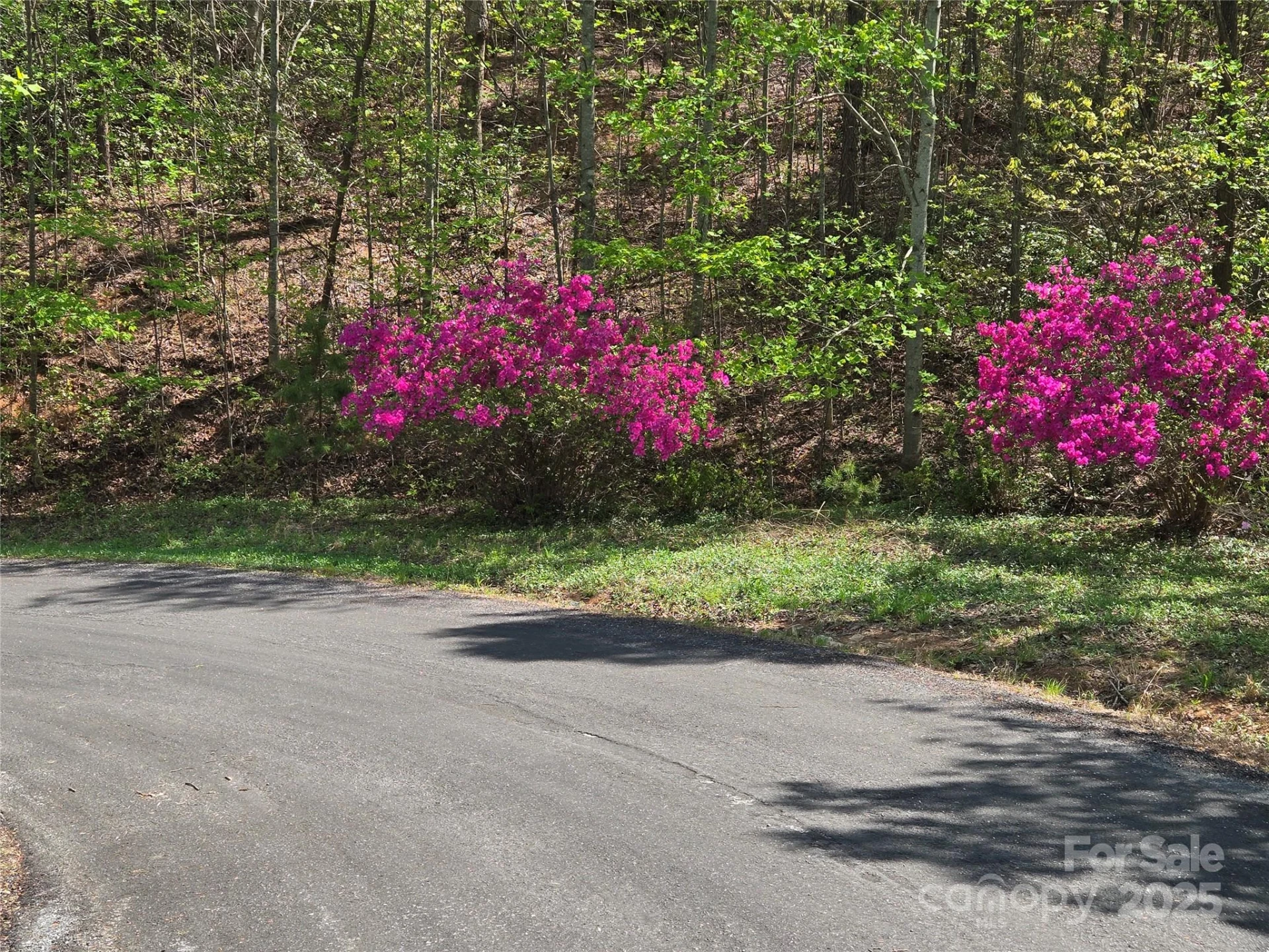 Lot 35 High Rock Ridge - Photo 9
