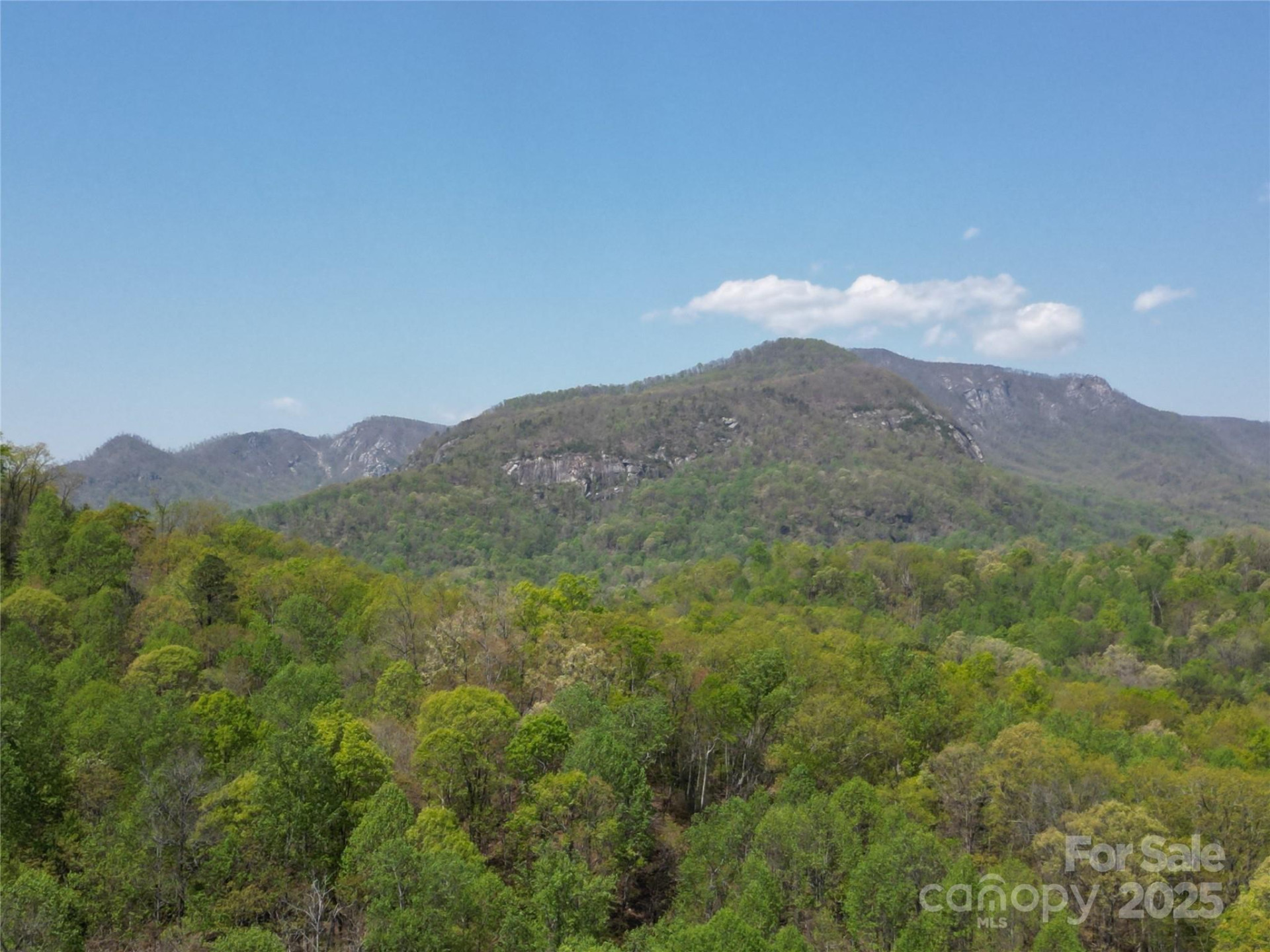 Lot 35 High Rock Ridge - Photo 10