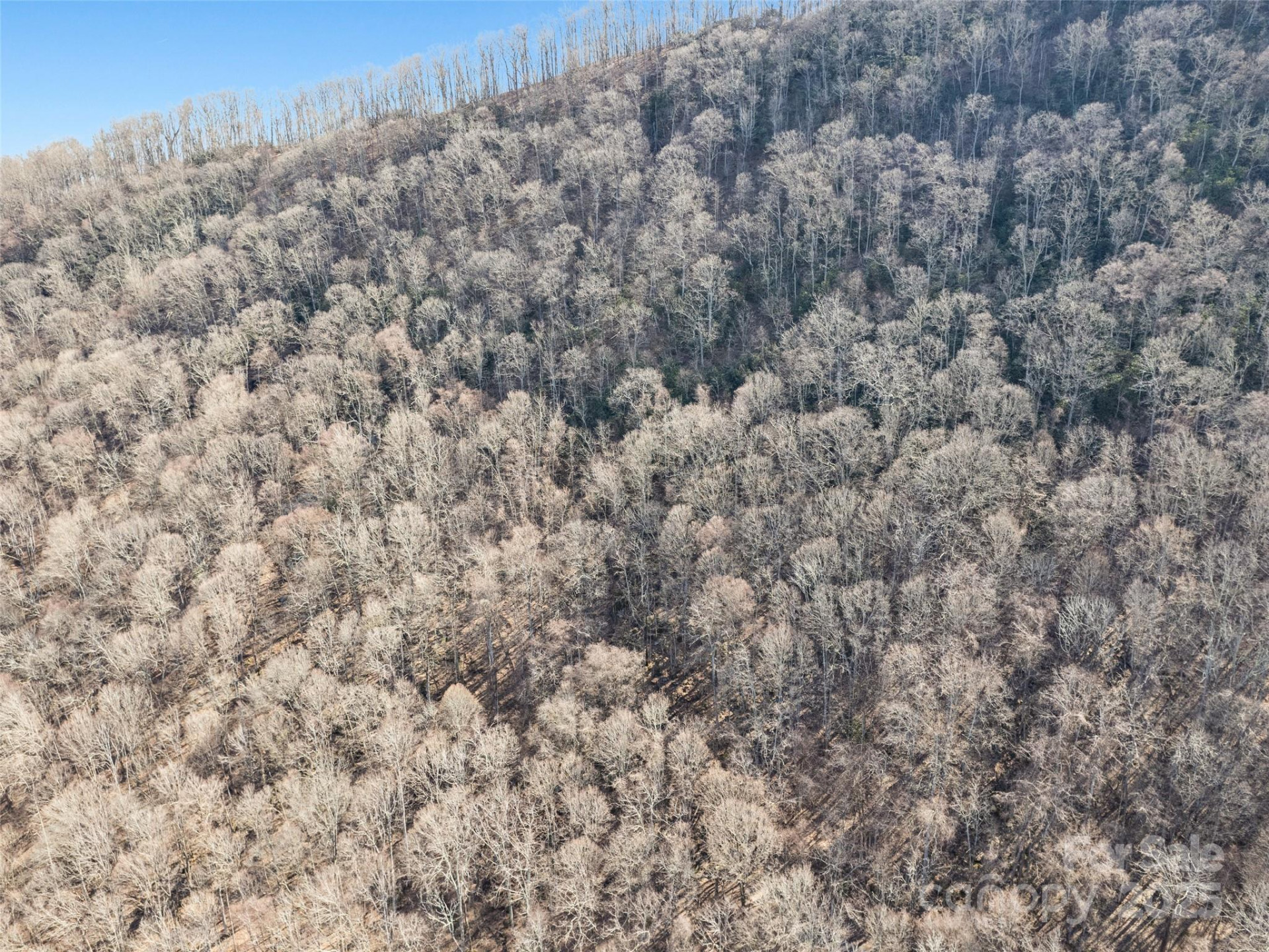 00 Apple Creek Road - Photo 2