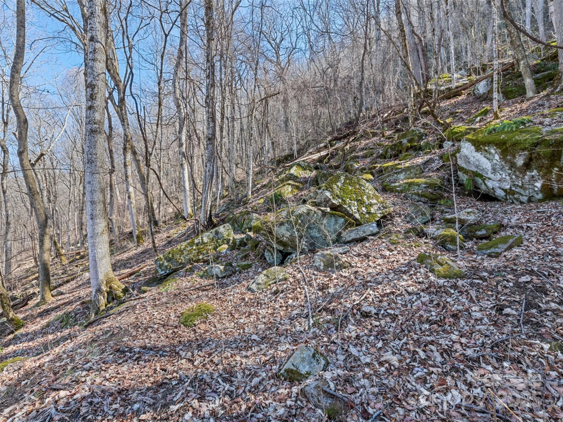 00 Apple Creek Road - Photo 11