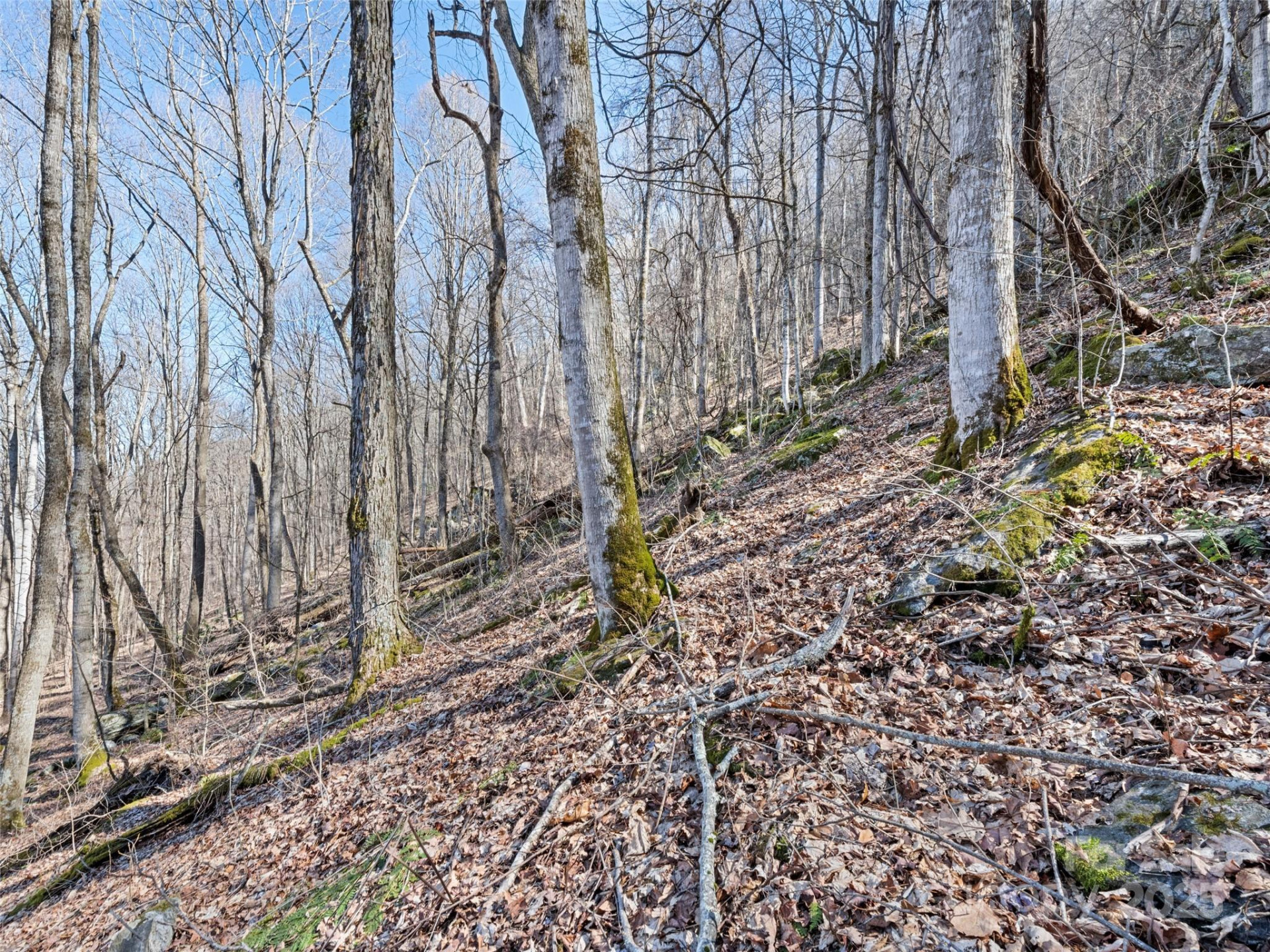 00 Apple Creek Road - Photo 12