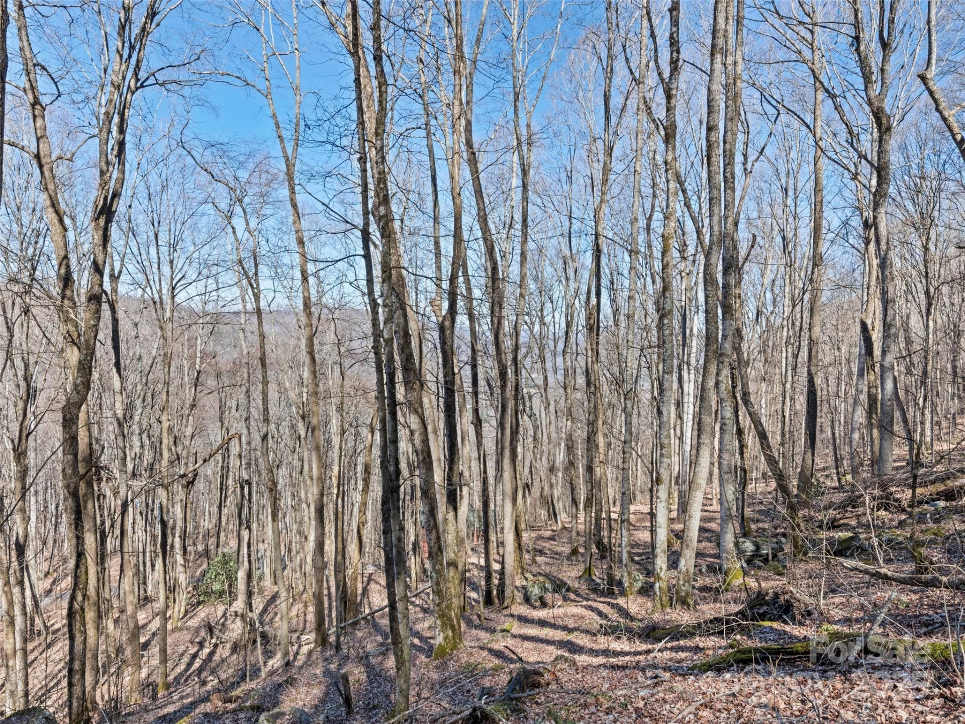 00 Apple Creek Road - Photo 13