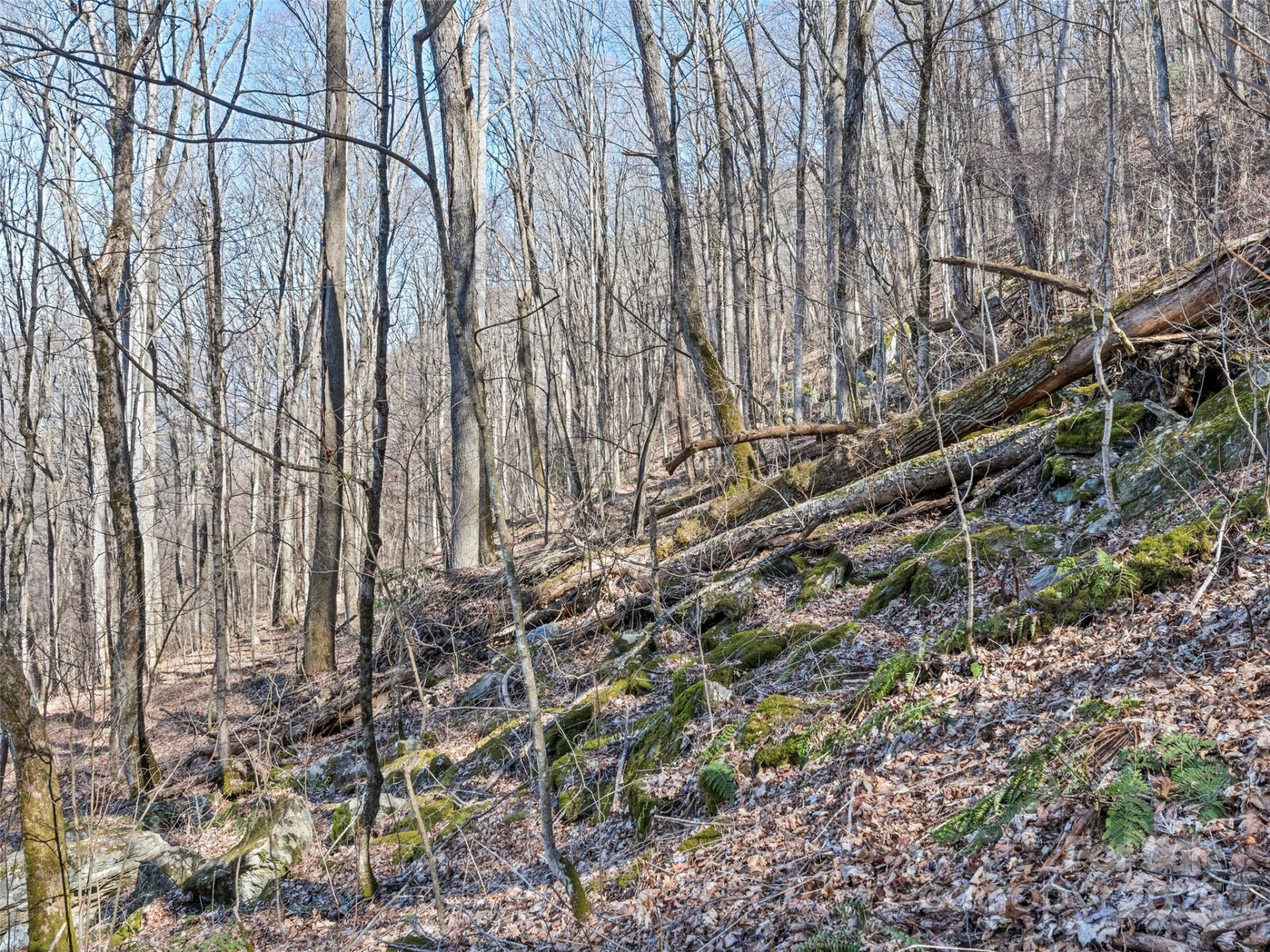 00 Apple Creek Road - Photo 14