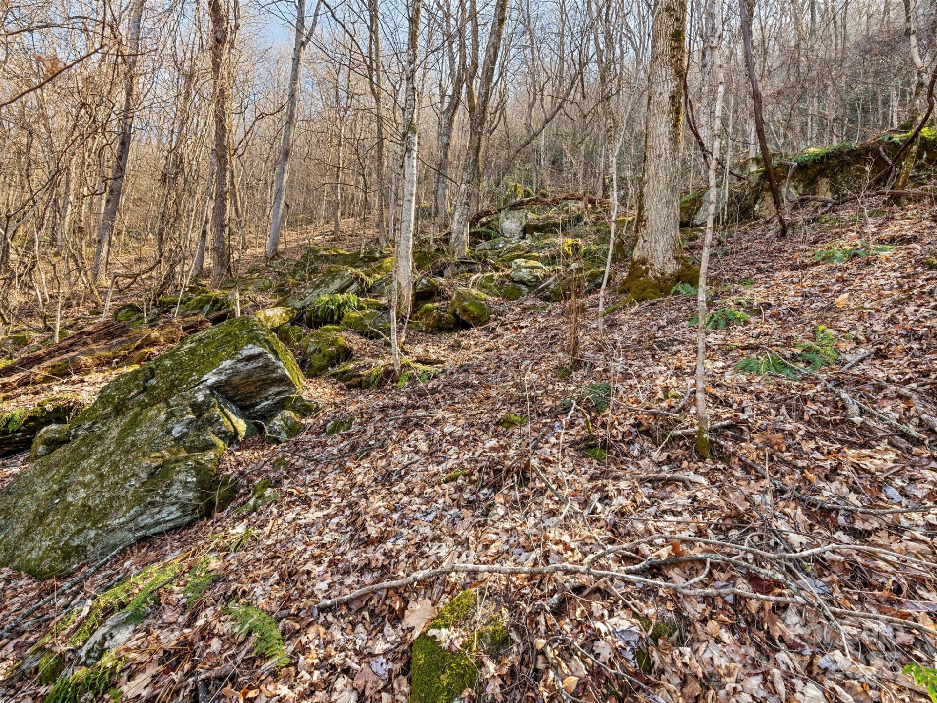 00 Apple Creek Road - Photo 15