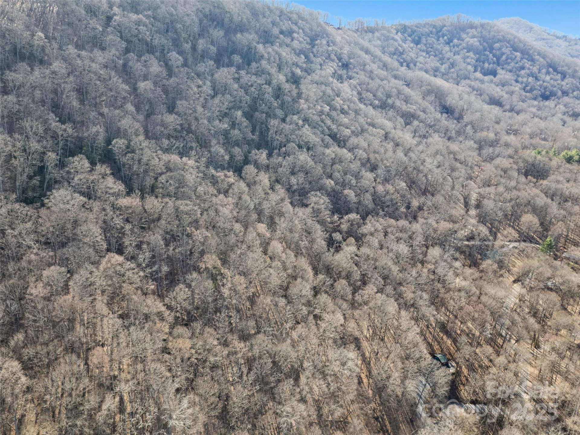 00 Apple Creek Road - Photo 3