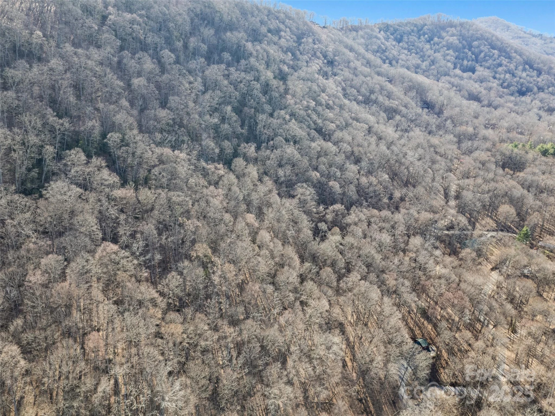 00 Apple Creek Road - Photo 3
